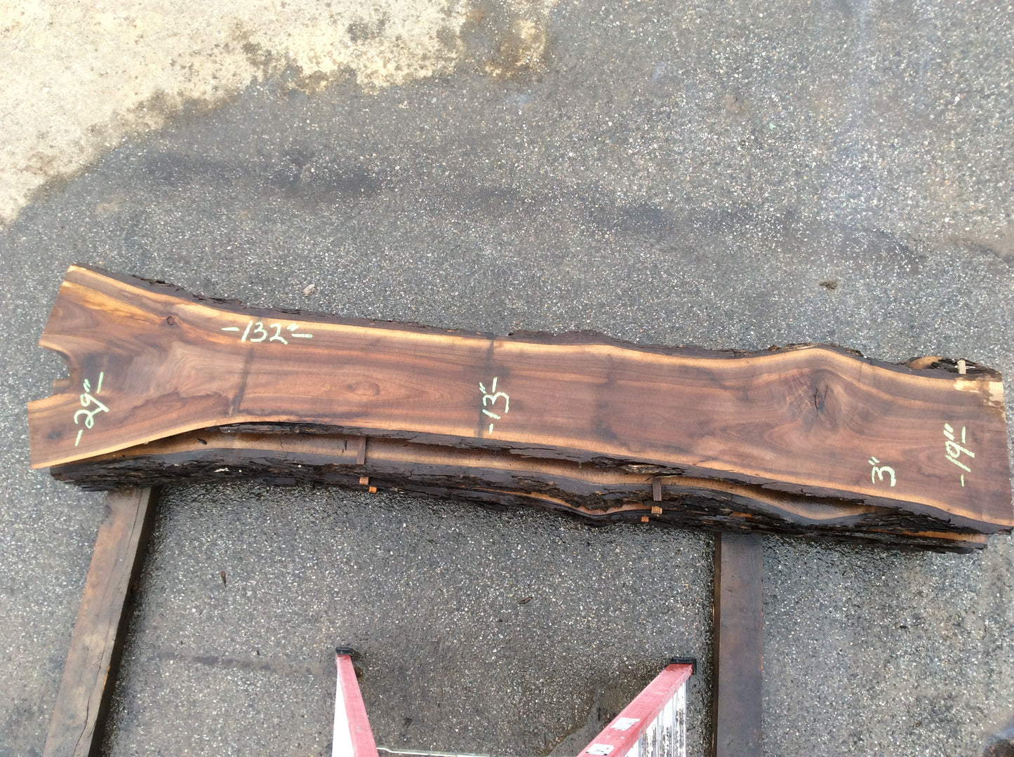 Claro Walnut, Light sapwood color