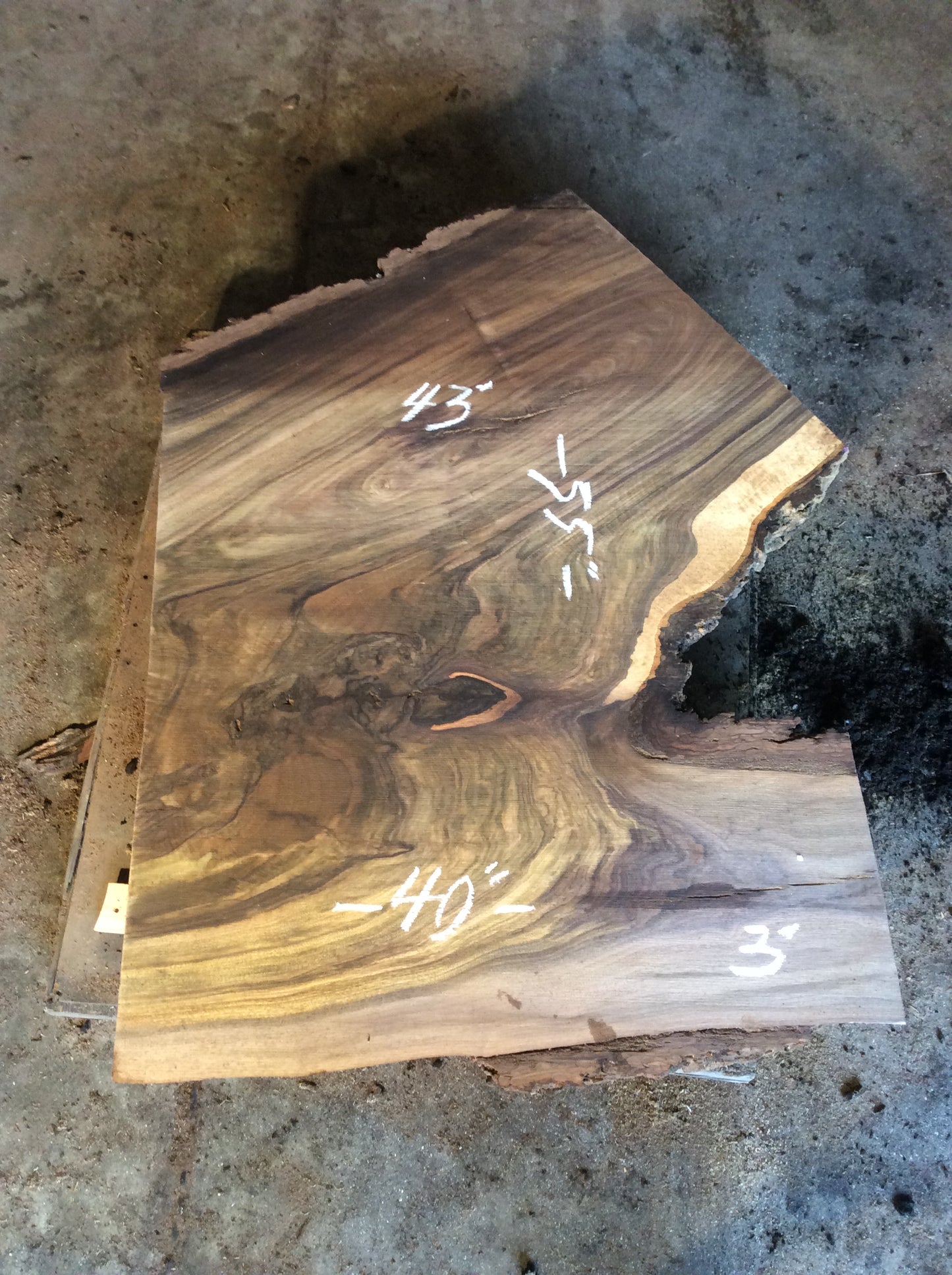 Claro Walnut, Large knot crotch figure