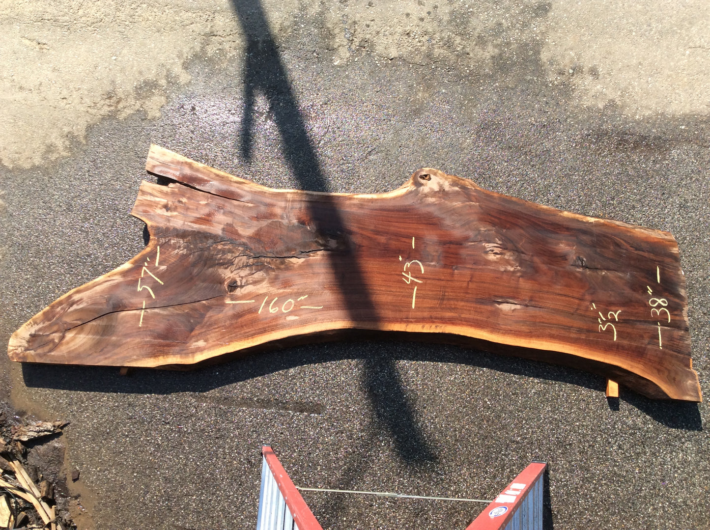 Claro Walnut, Color Large crotch figure