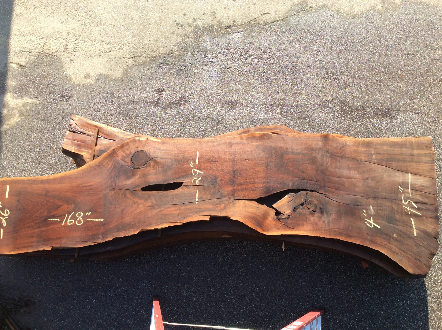 Claro Walnut, Knot and bark inclusions