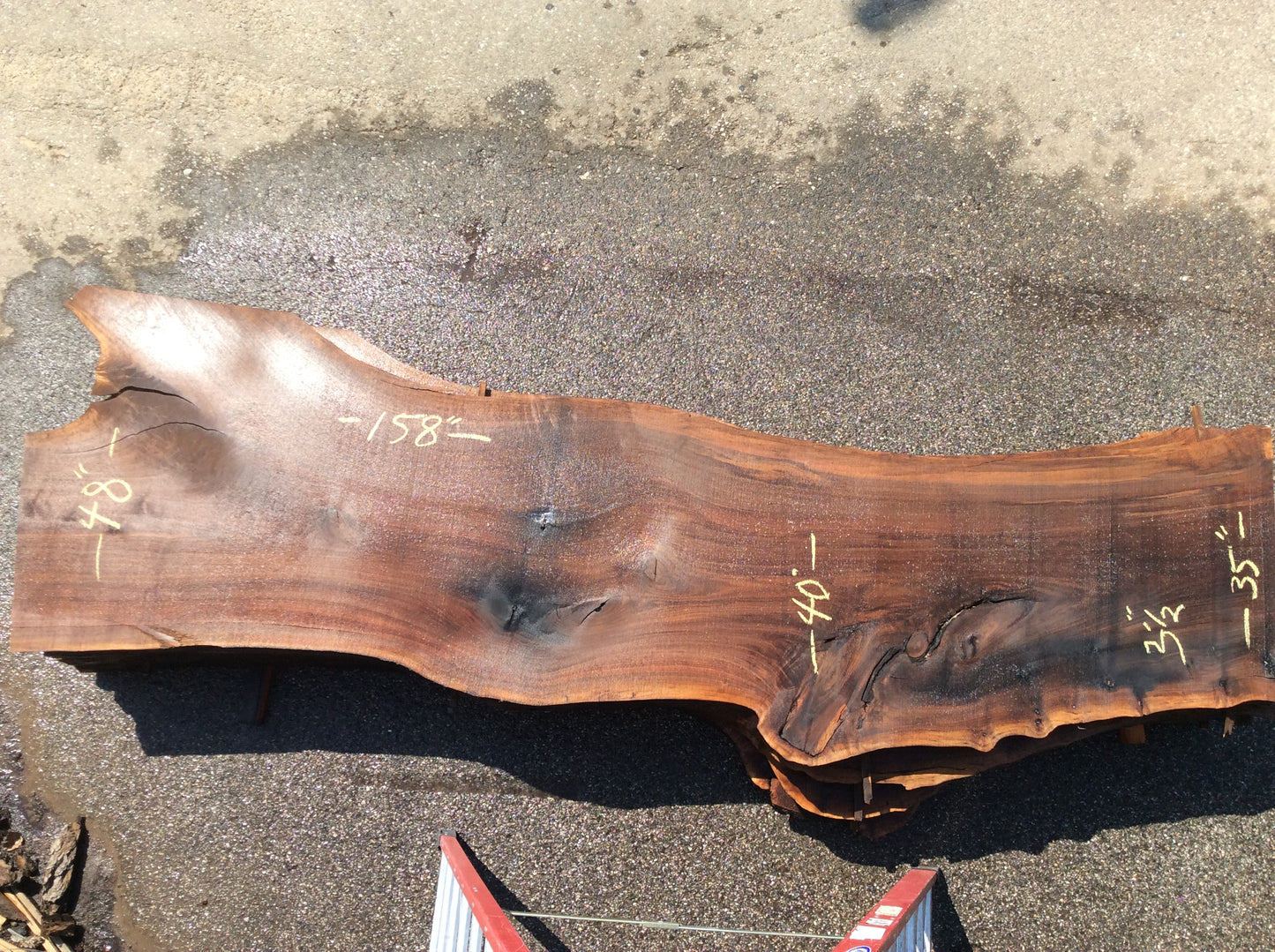 Claro Walnut, End crotch branch inclusion
