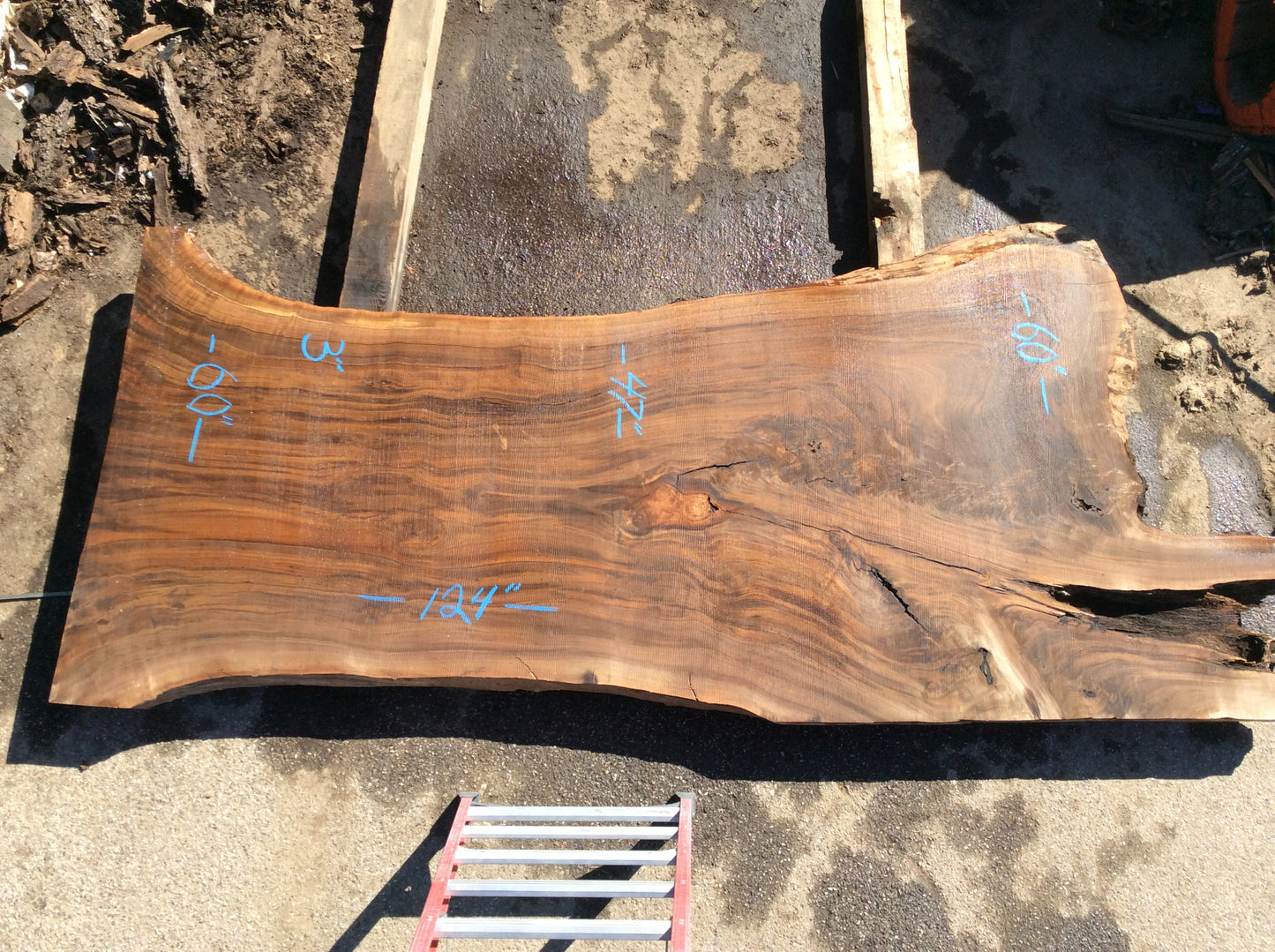 Claro Walnut, Beautiful figure inclusion lower right