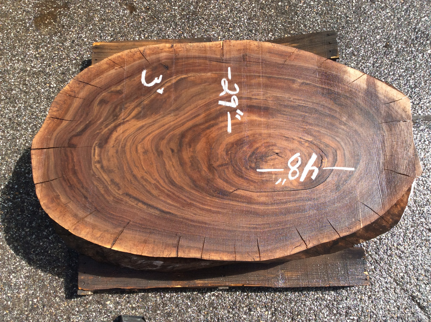 Claro Walnut, Nice oval light sapwood