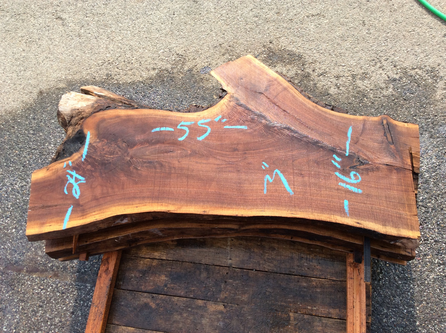 Claro Walnut, Double crotch figure large knot