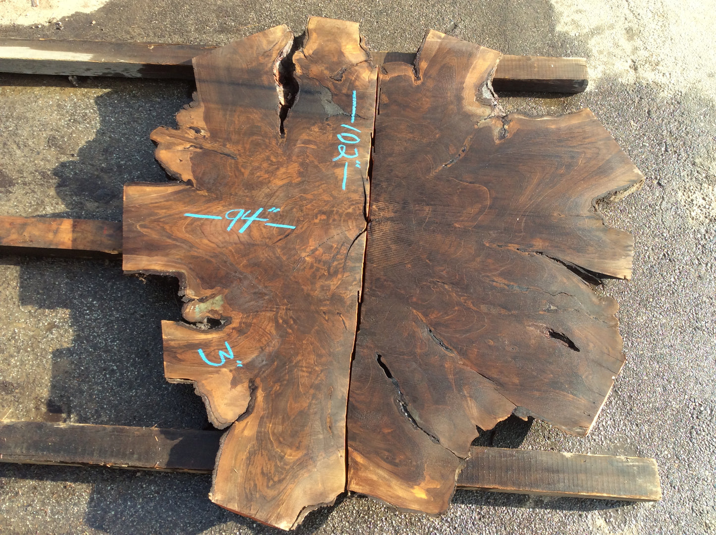 Claro Walnut, Blotched sapwood in center of root burl