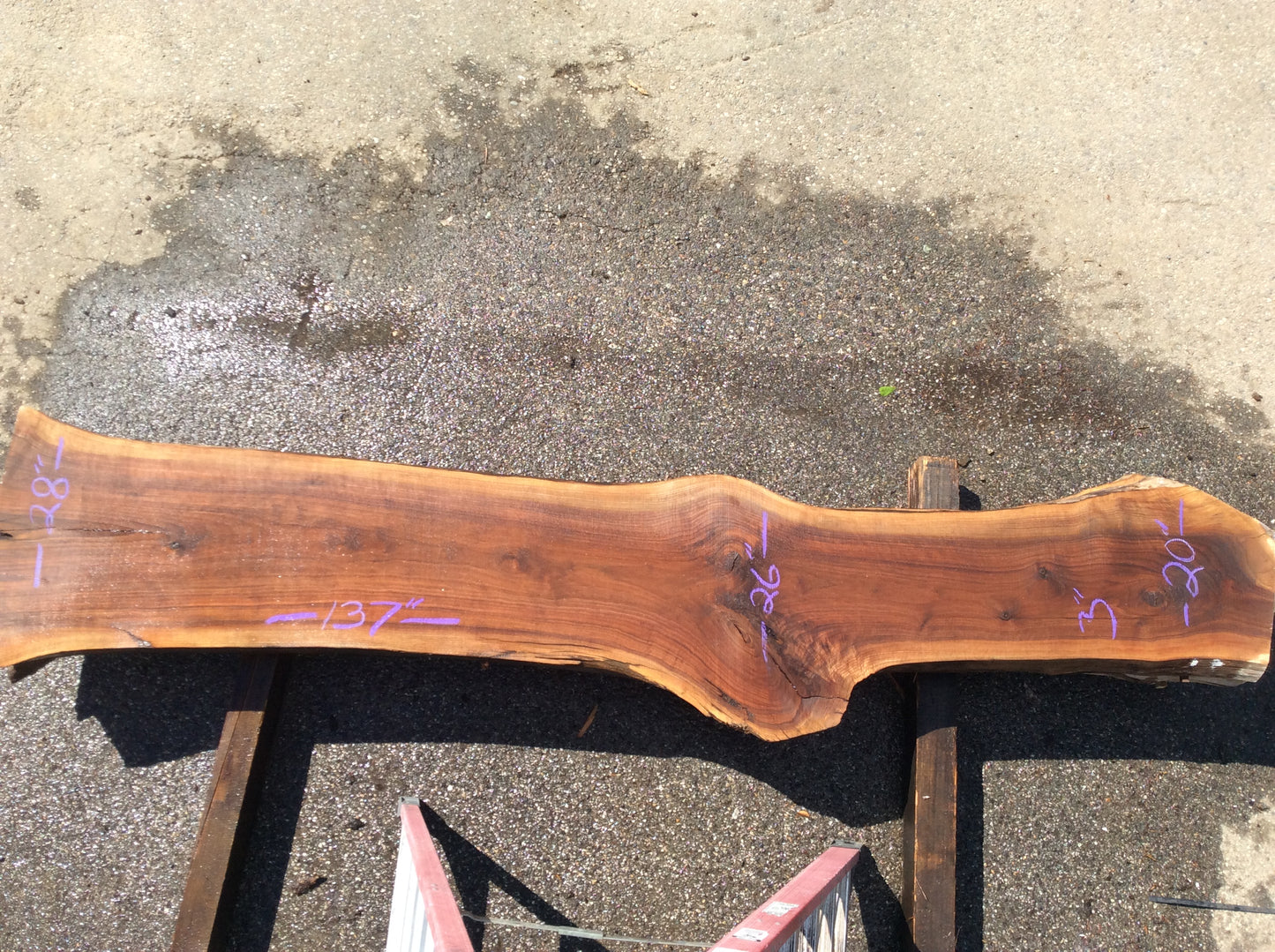 Claro Walnut, 2 Large knots in middle sapwood