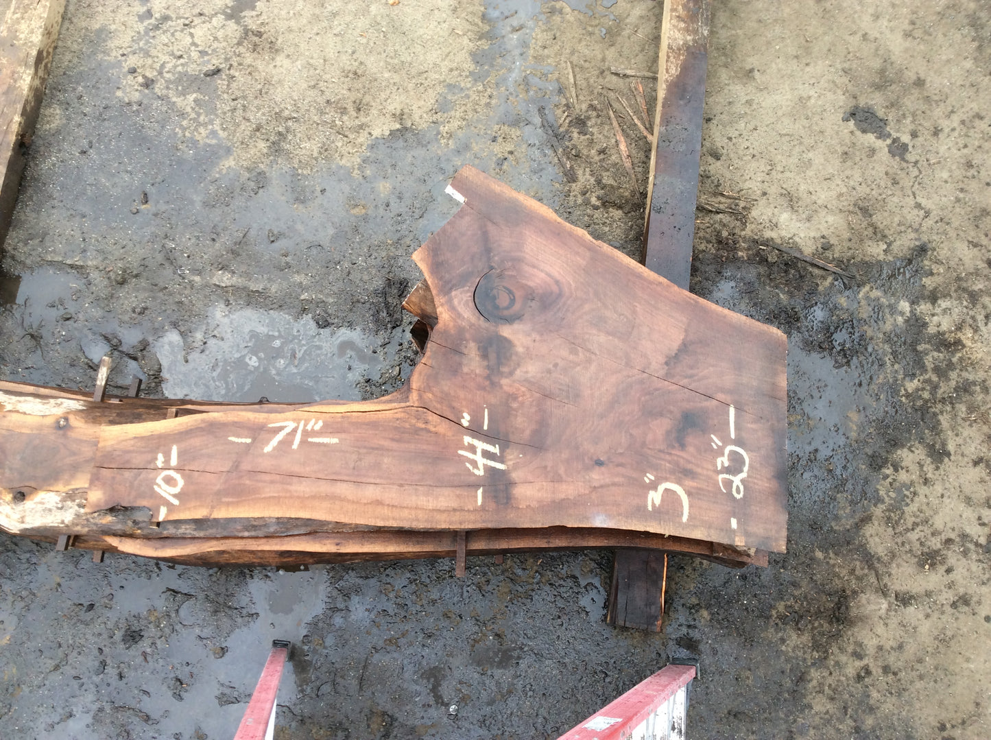 Claro Walnut, Small crotch large knot at top