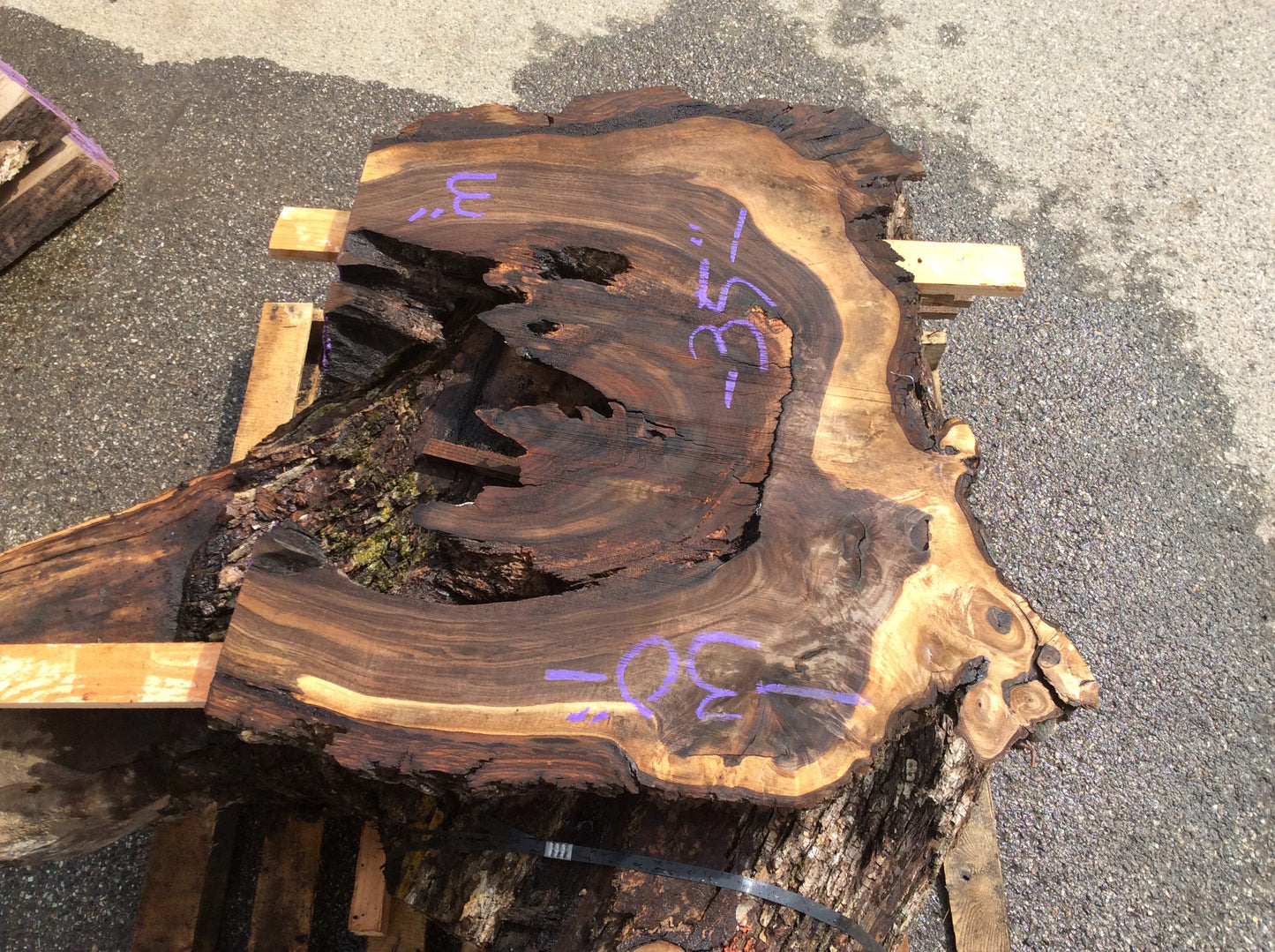 Claro Walnut, Rotted center cut