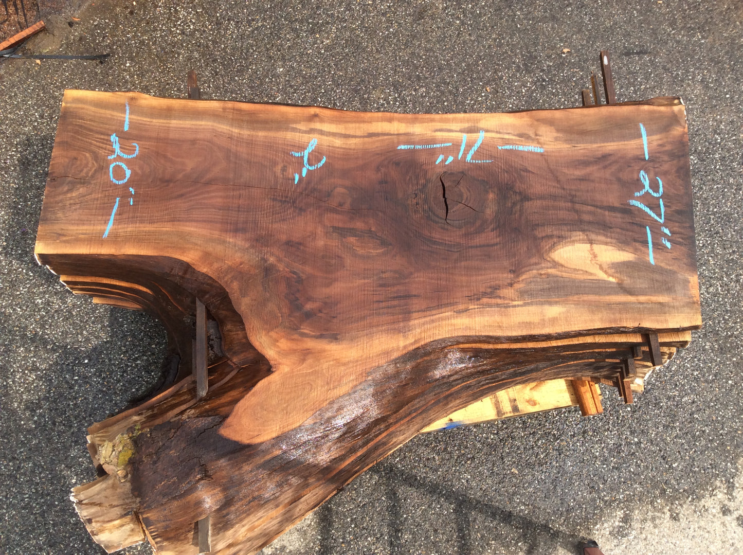 Claro Walnut, Large knot light sapwood