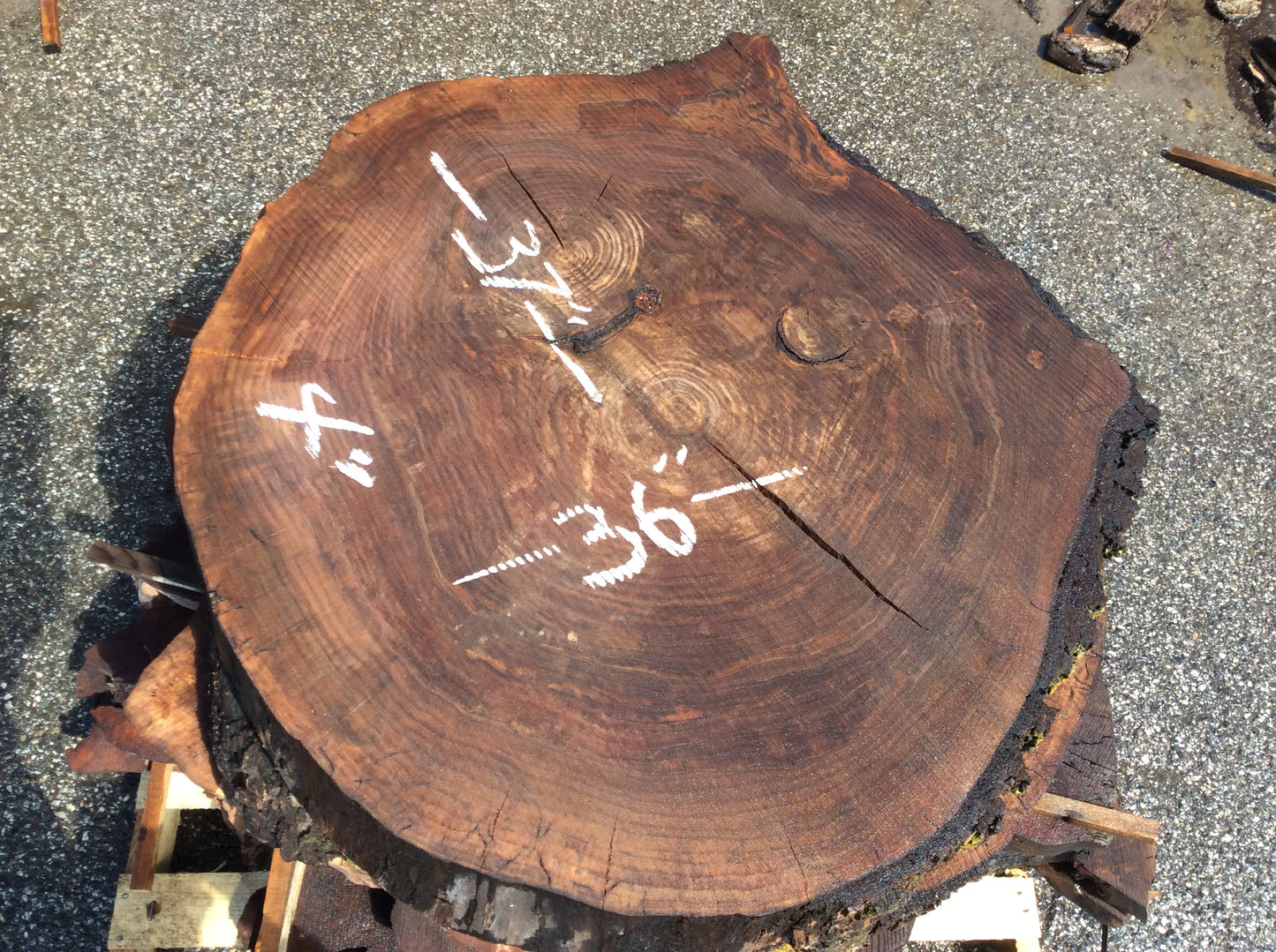 Claro Walnut, Large cookie 3 centers
