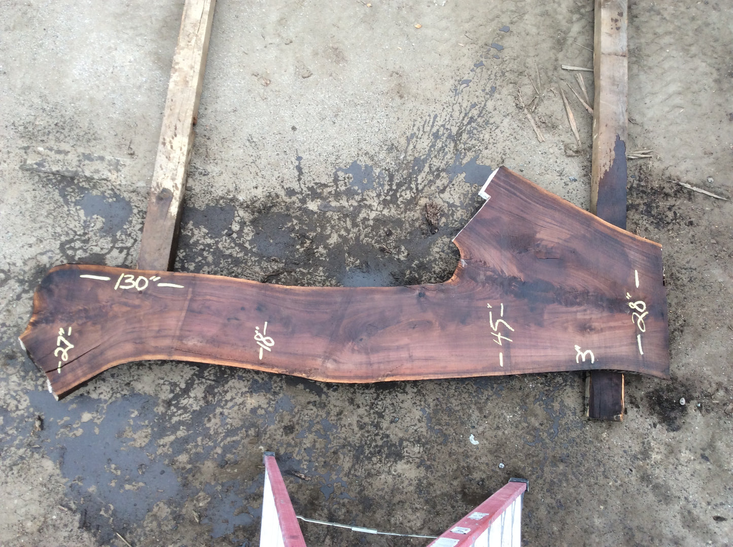 Claro Walnut, Double crotch nice color