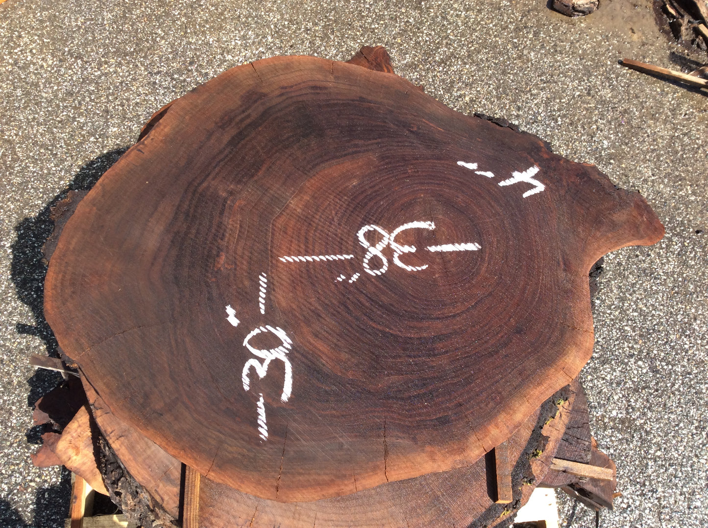 Claro Walnut, Large cookie nice color
