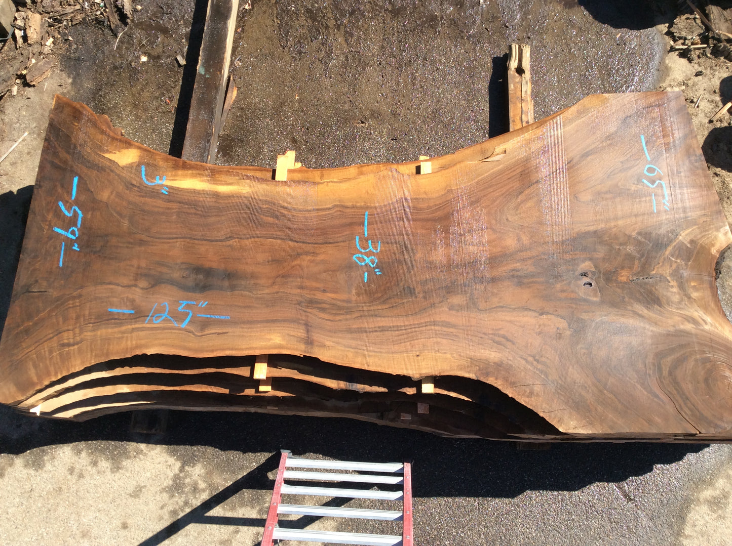 Claro Walnut, Hour glass shape with black streaks