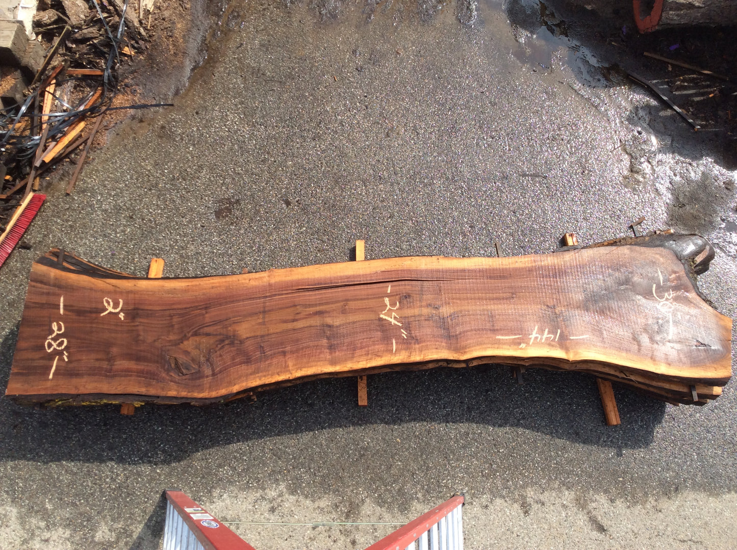 Claro Walnut, Light sapwood large cracks
