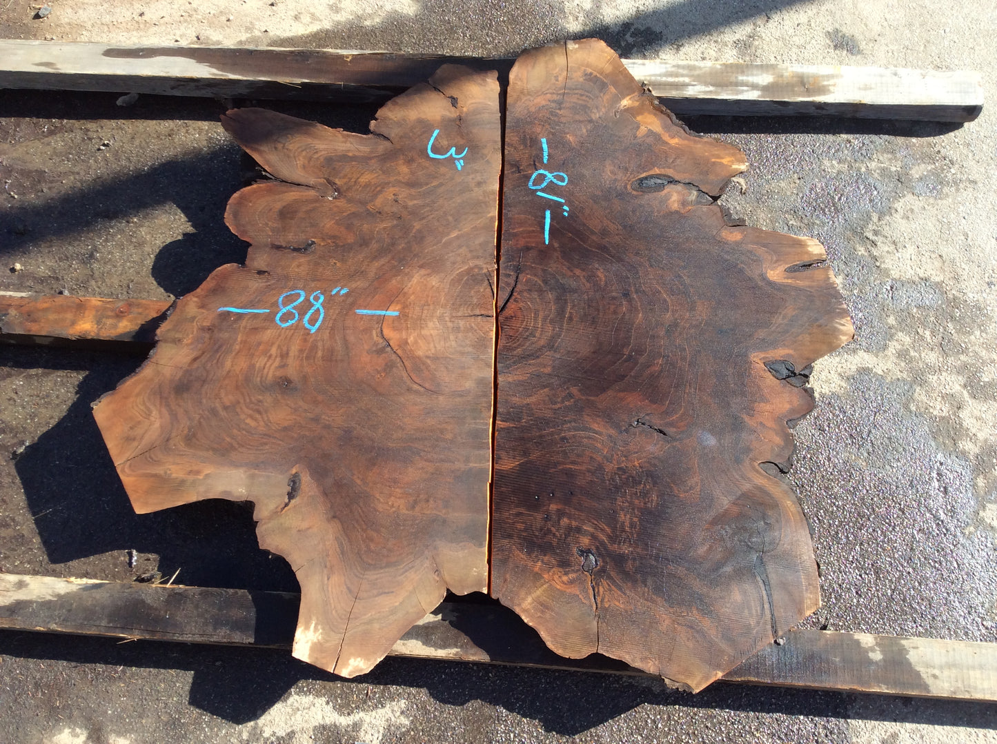 Claro Walnut, Round lots of figure root burl