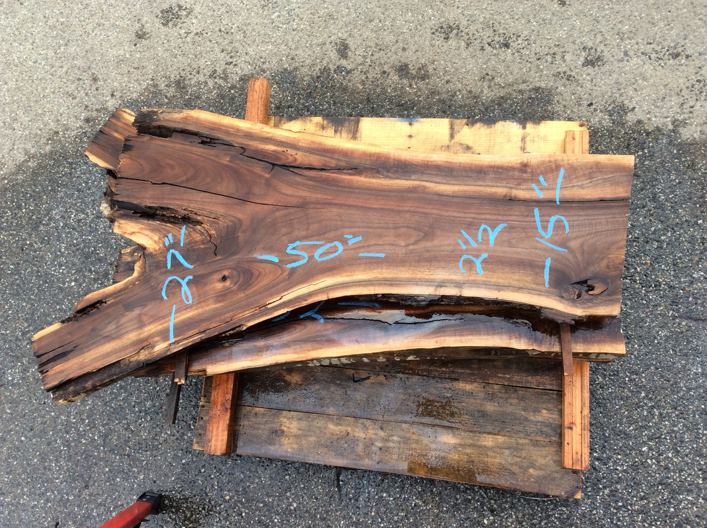 Claro Walnut, Mix color small cracks