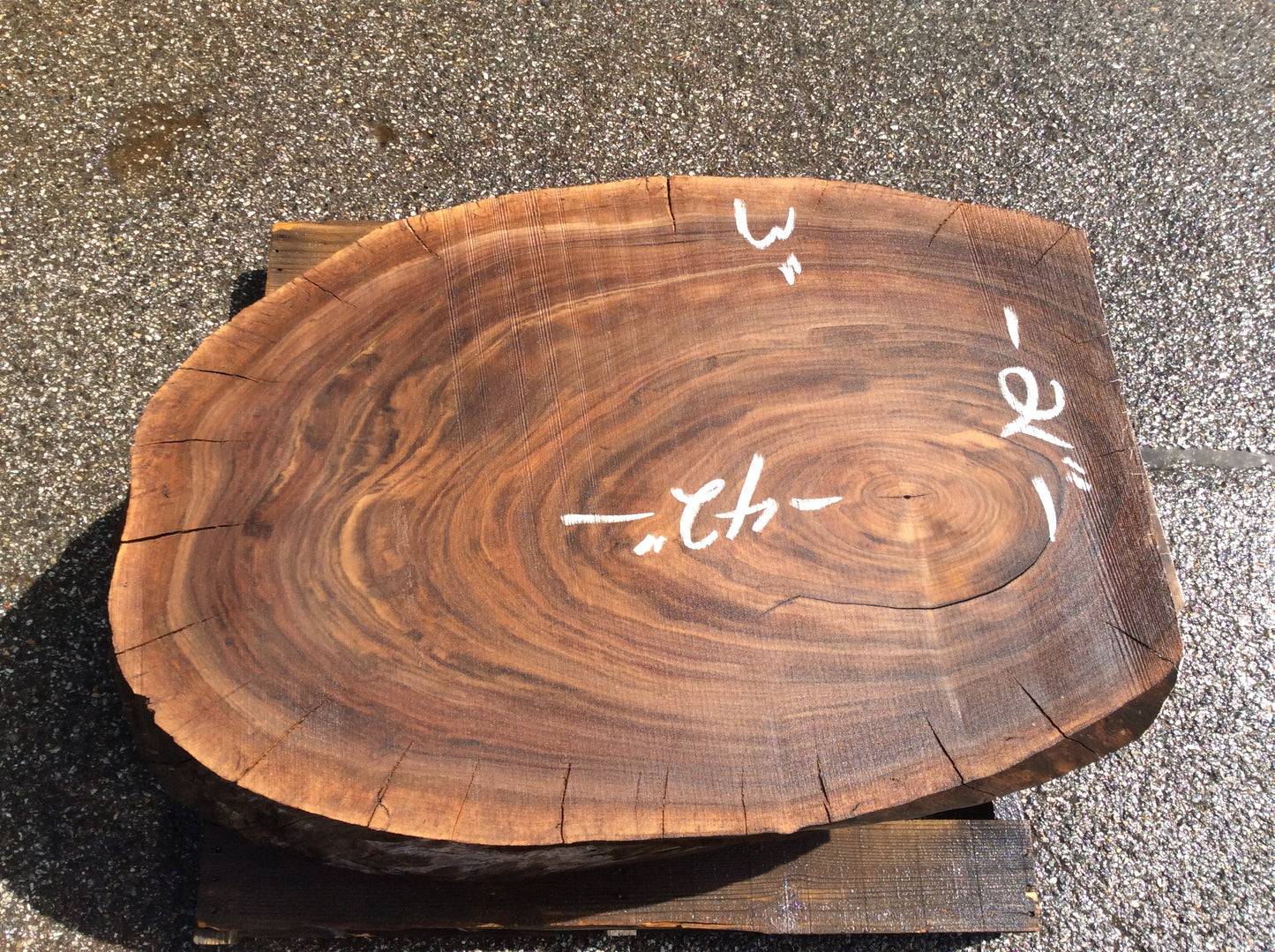 Claro Walnut, Oval shap cracks on outside