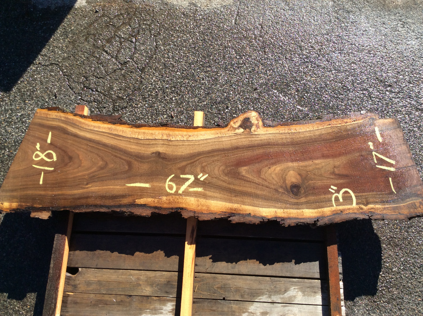 Claro Walnut, Jacket piece red and light sapwood