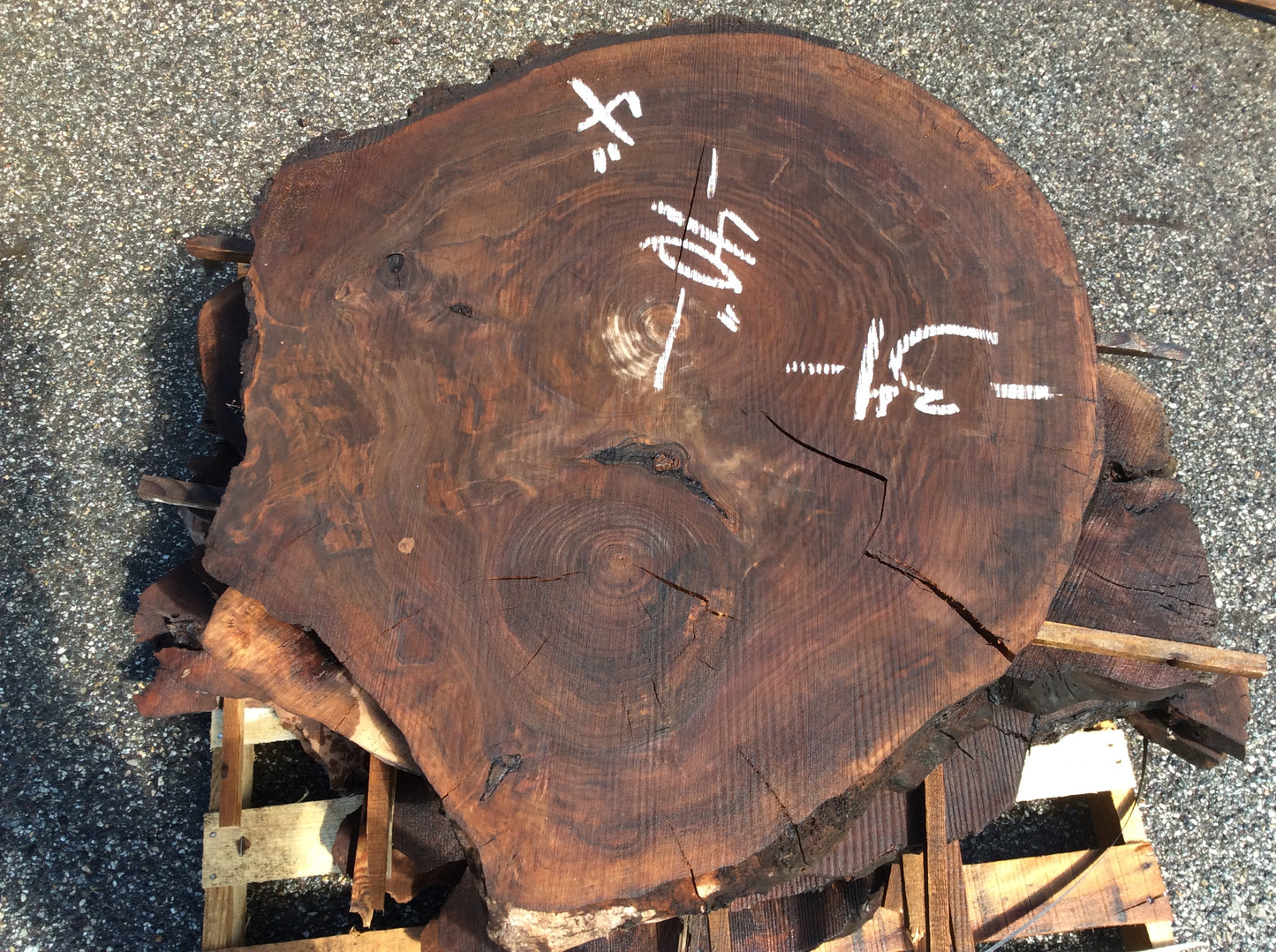 Claro Walnut, Large cookie lots of figure