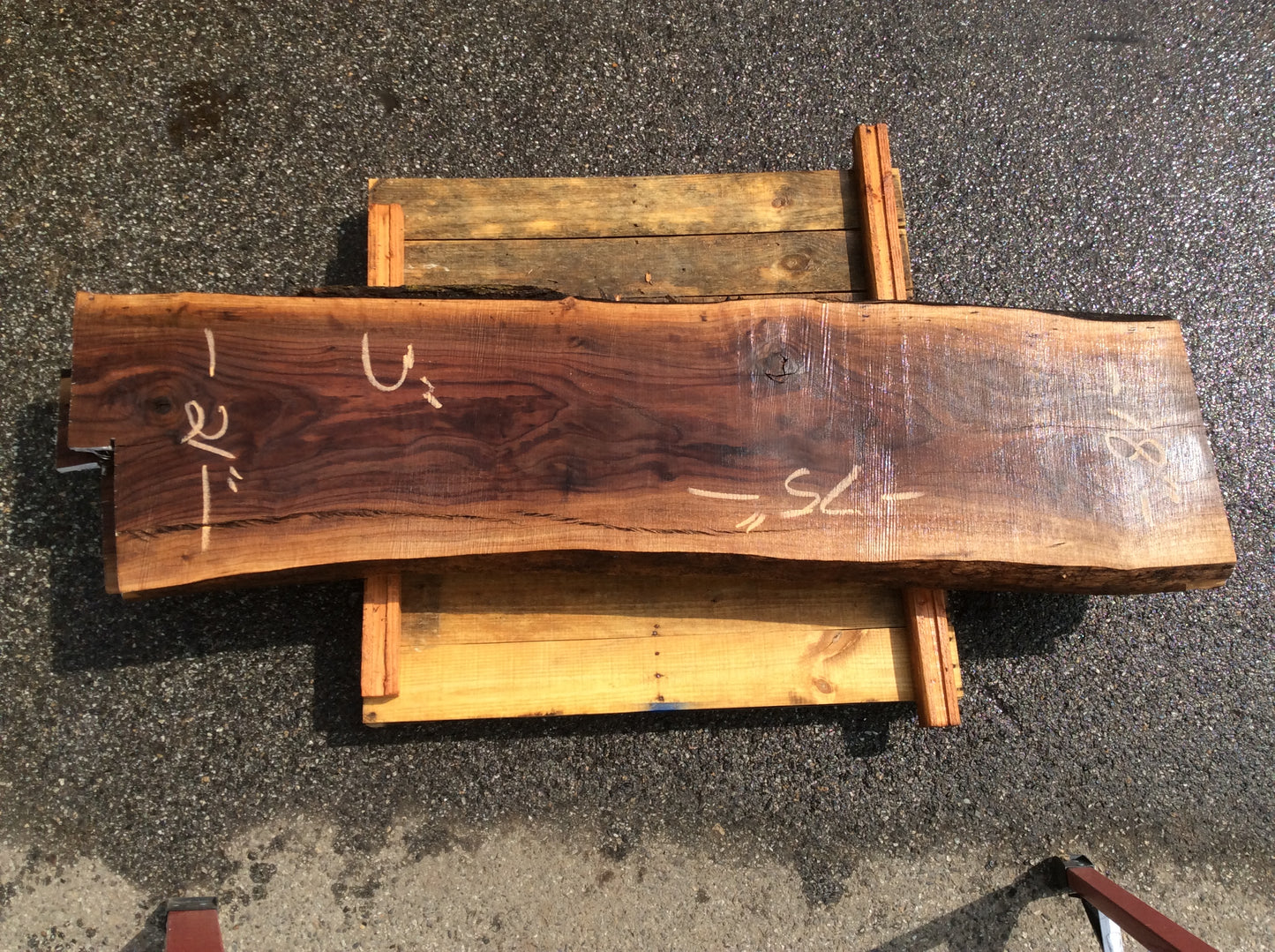 Claro Walnut, Long crack sapwood