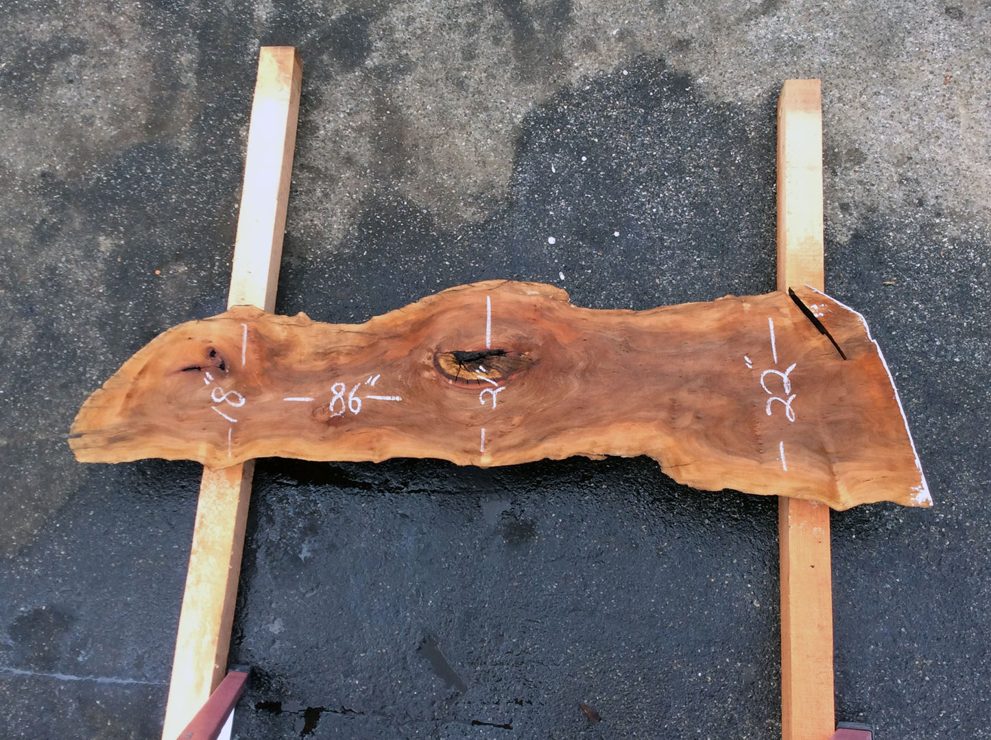 Live Edge Slab, California Sycamore