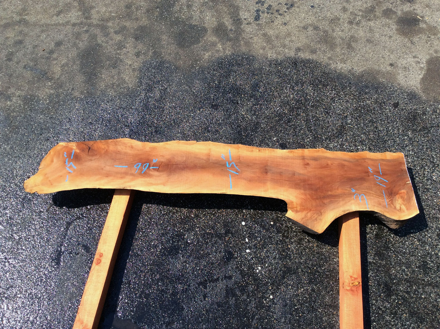 Live Edge Slab, California Sycamore
