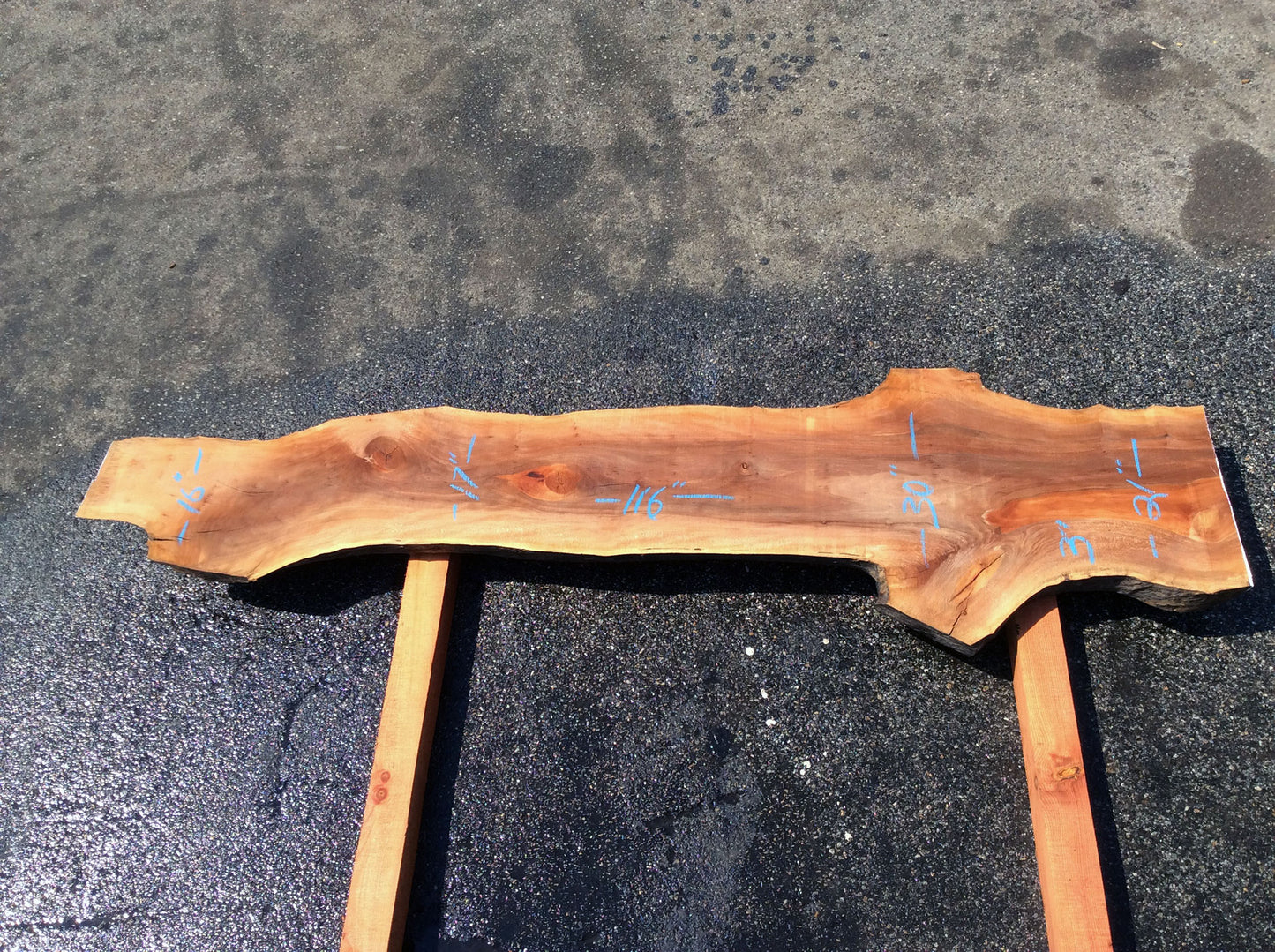 Live Edge Slab, California Sycamore