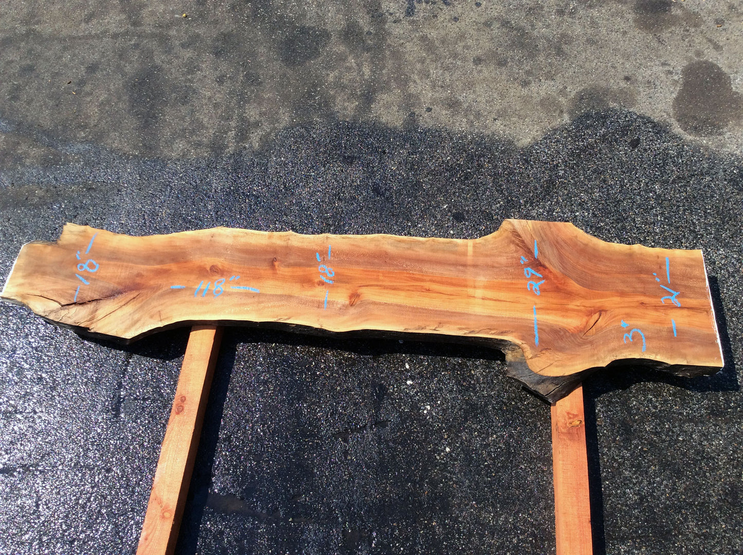 Live Edge Slab, California Sycamore