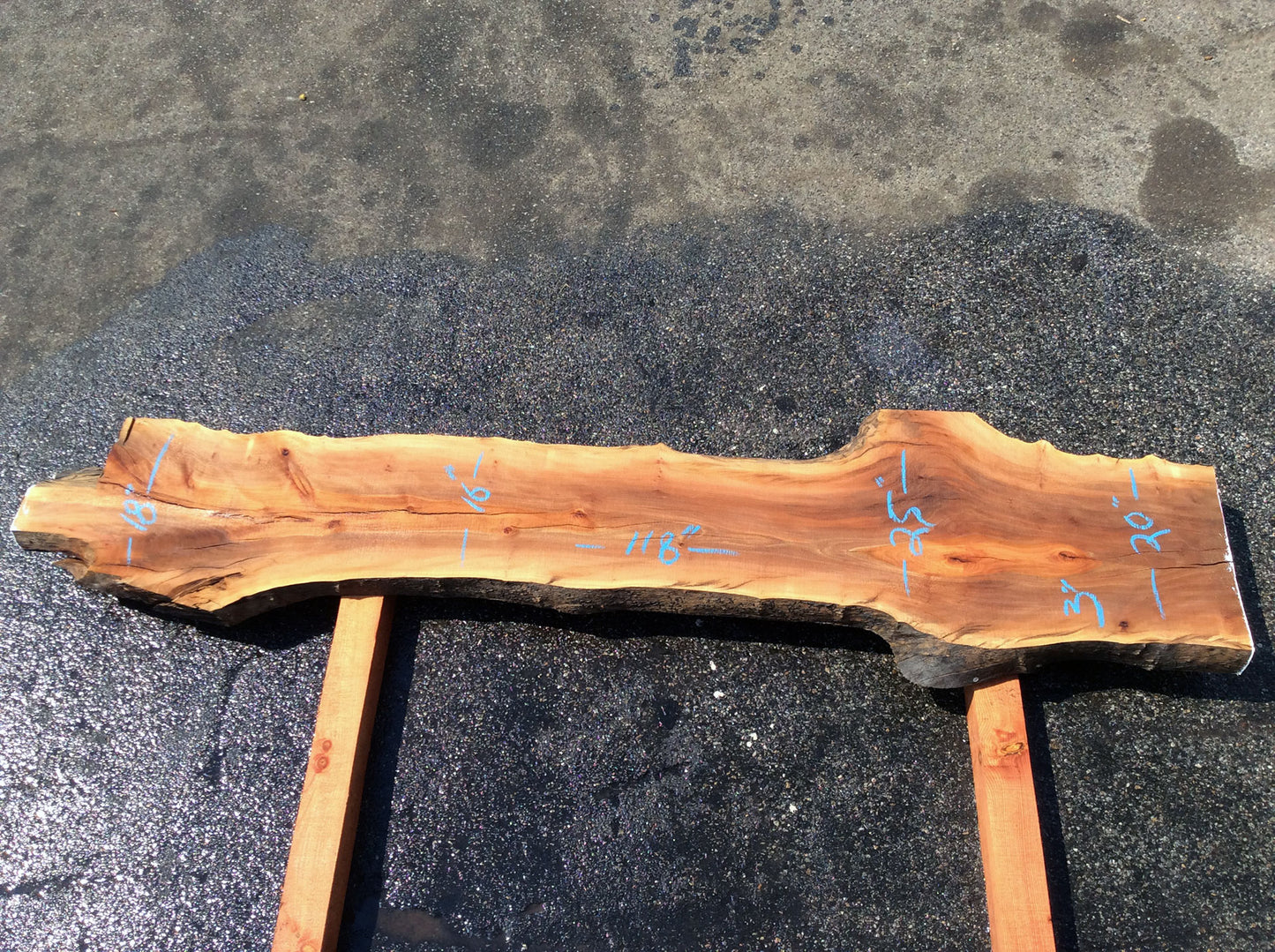 Live Edge Slab, California Sycamore