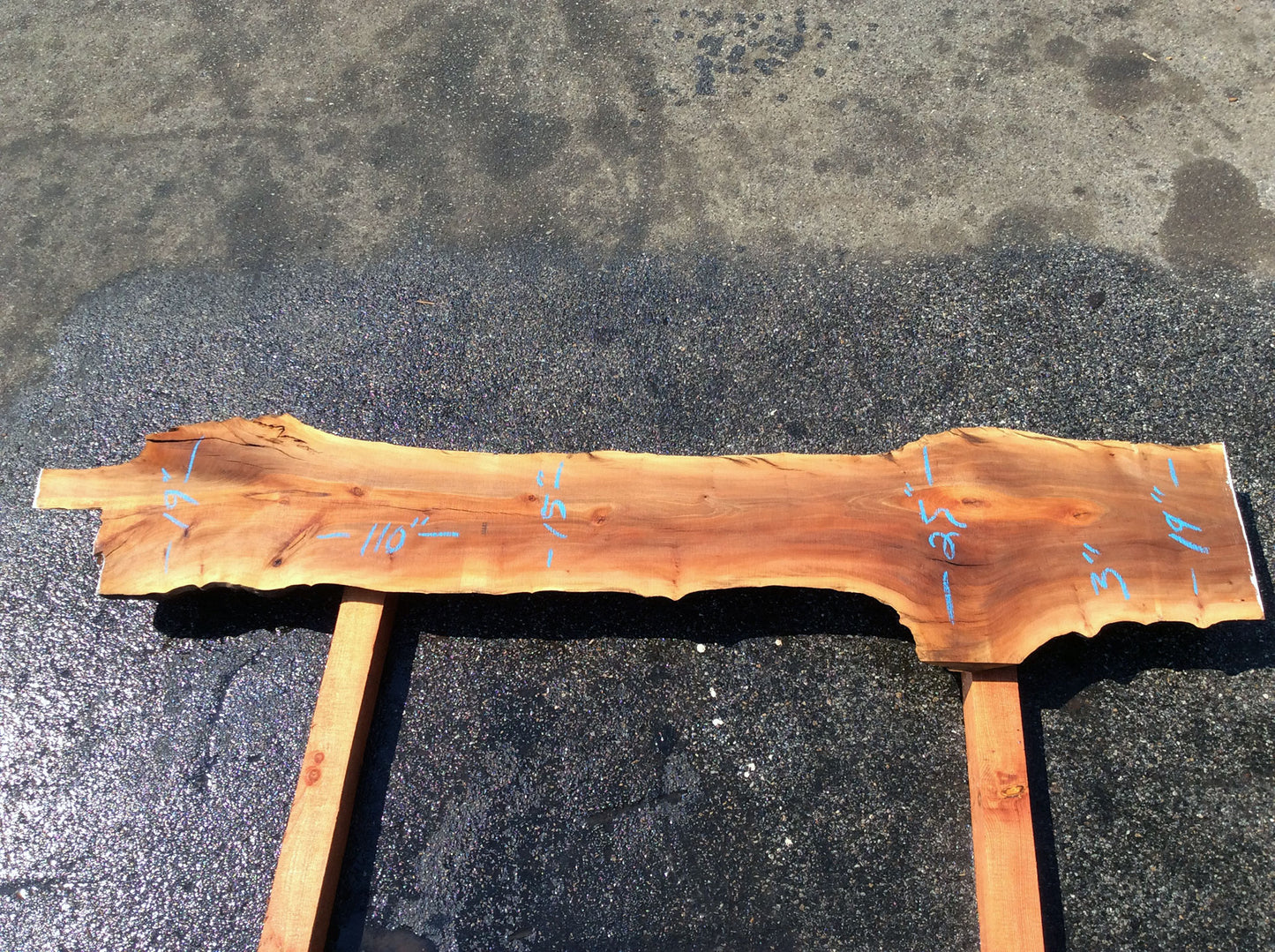Live Edge Slab, California Sycamore