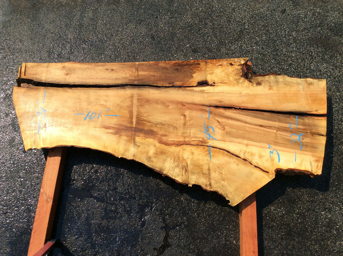 Silver Maple, Live Edge Slab