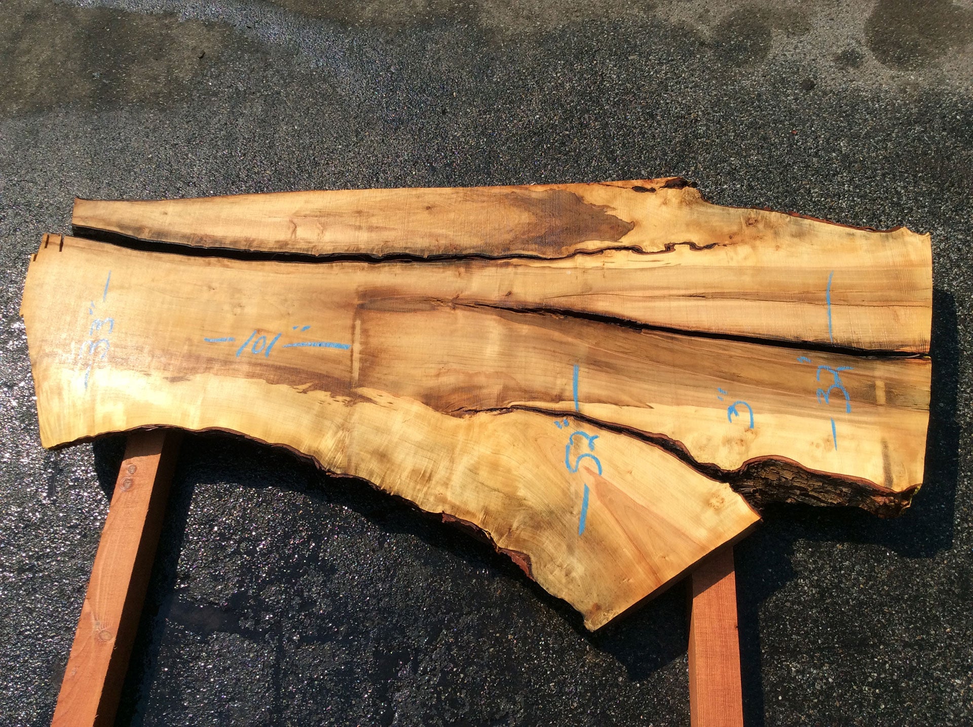 Silver Maple, Live Edge Slab