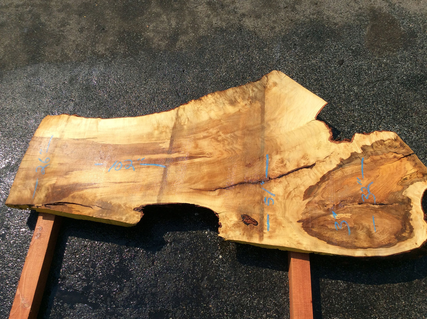 Silver Maple, Live Edge Slab
