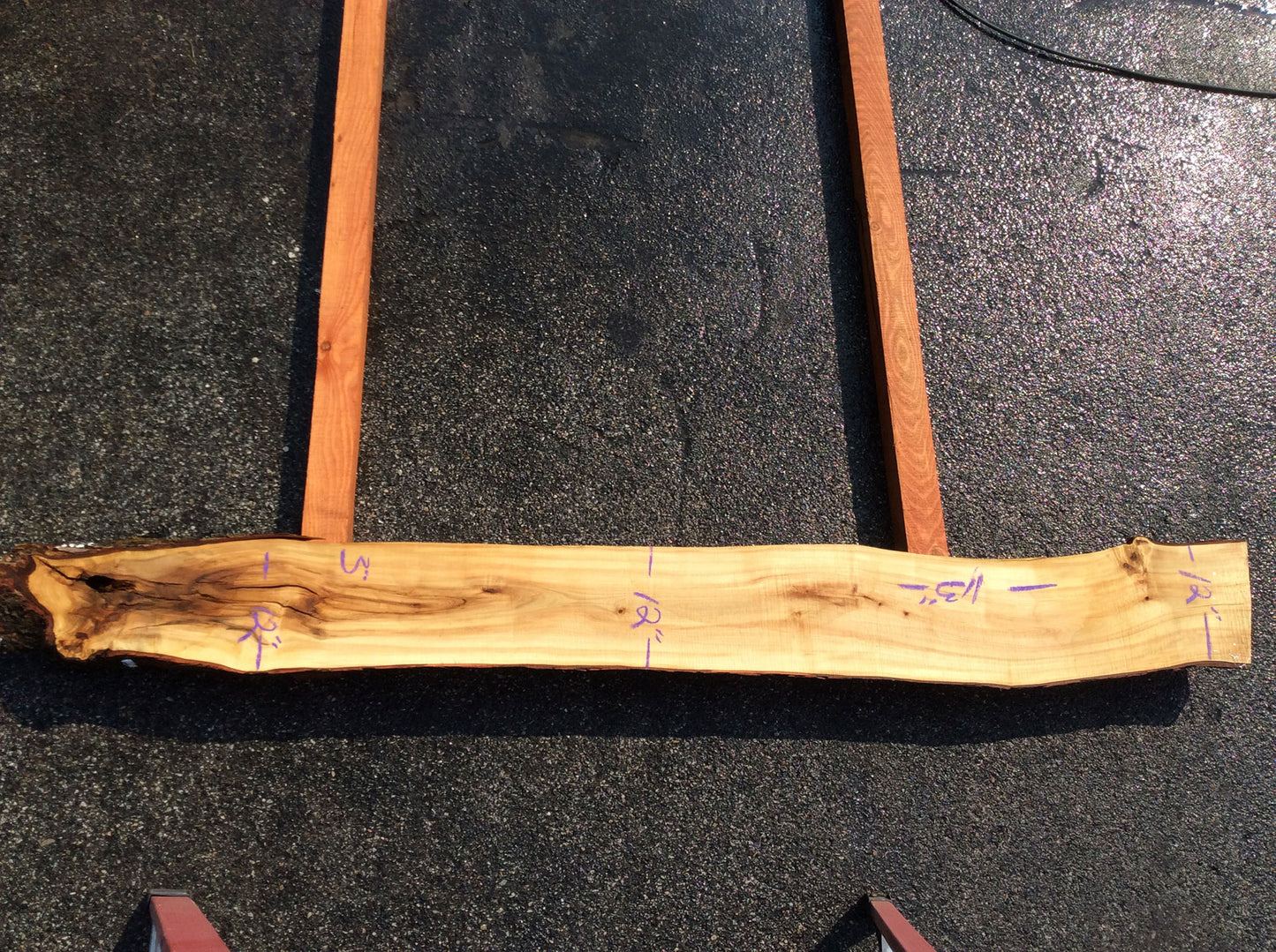 Silver Maple, Straight Cut