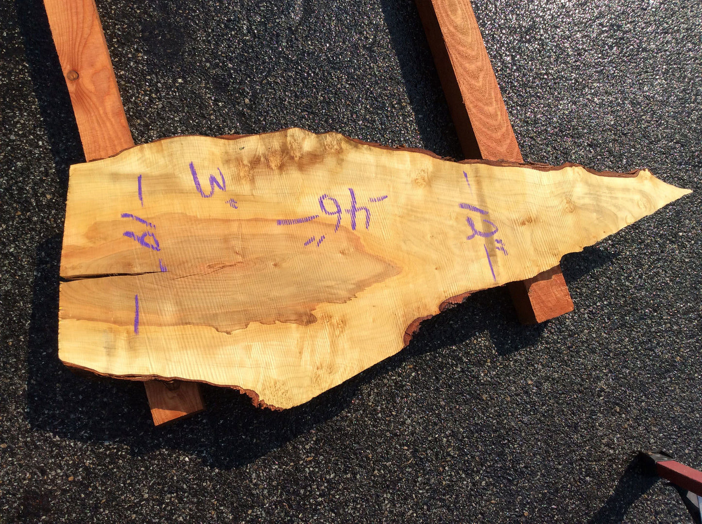 Silver Maple, End Cut