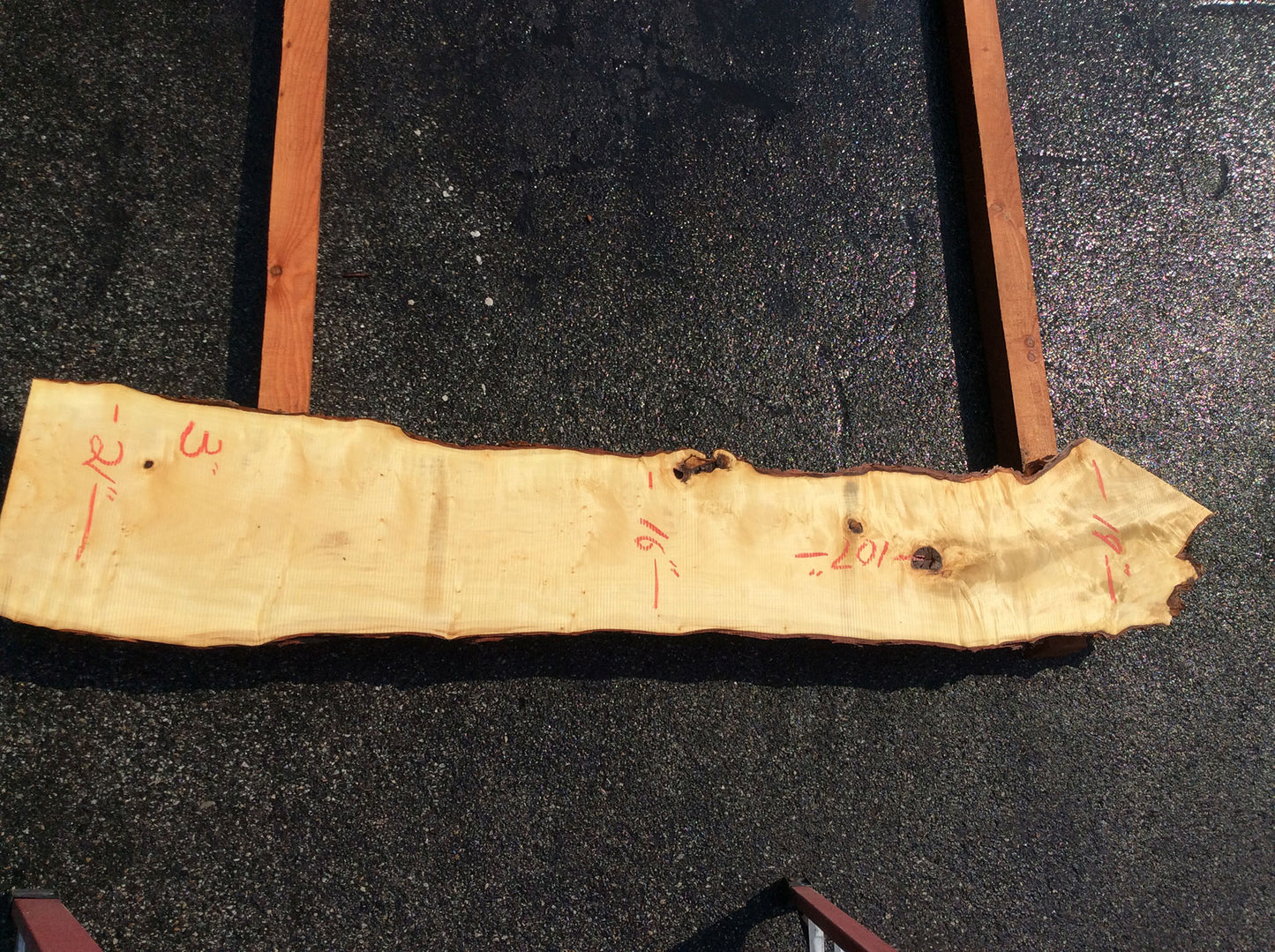 Silver Maple, Straight Cut