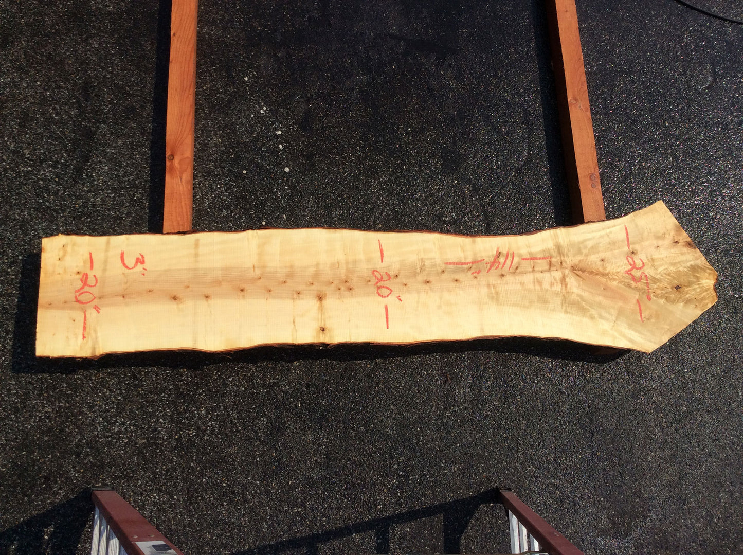 Silver Maple, Straight Cut