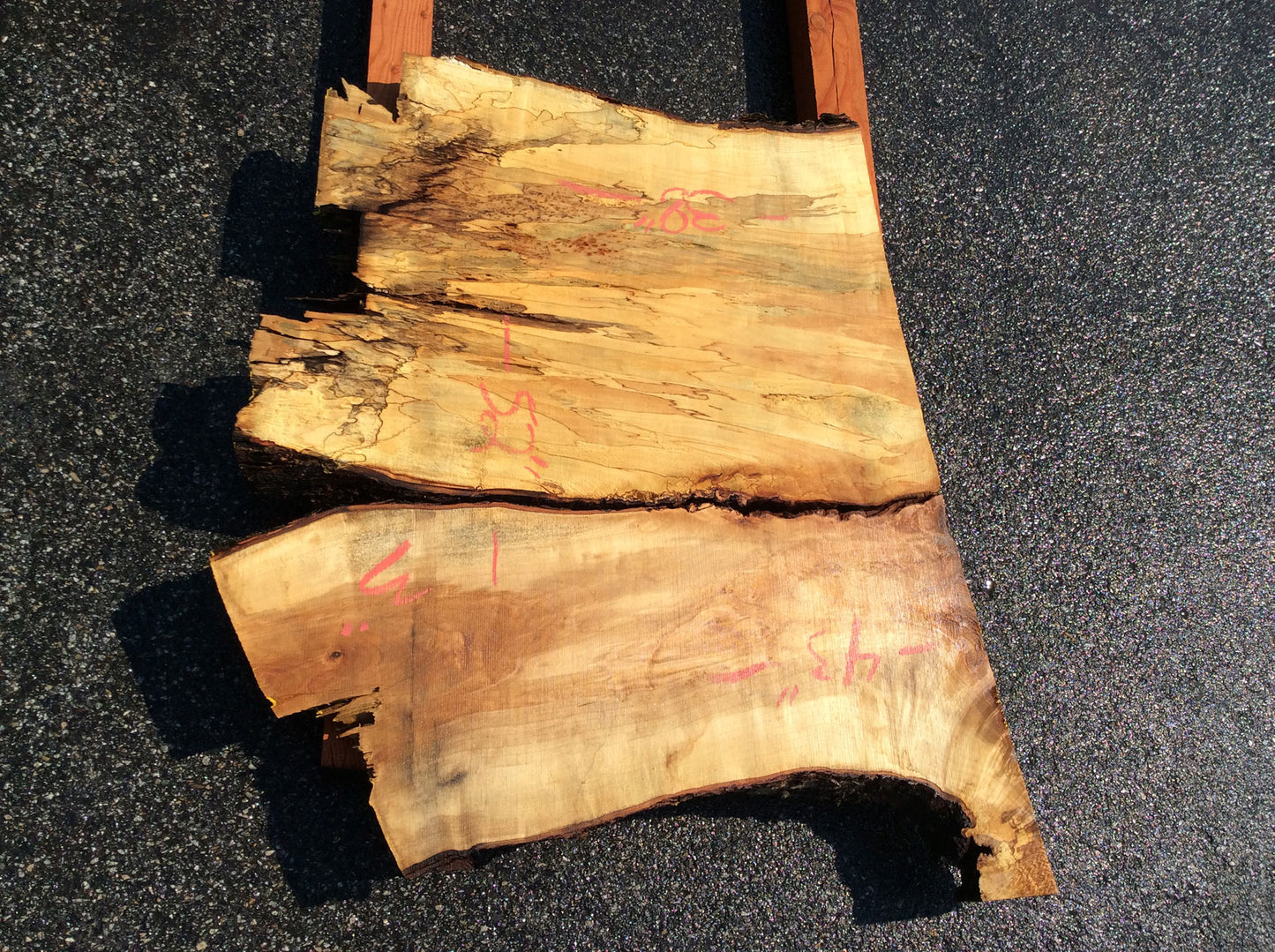 Silver Maple, Crotch Wood