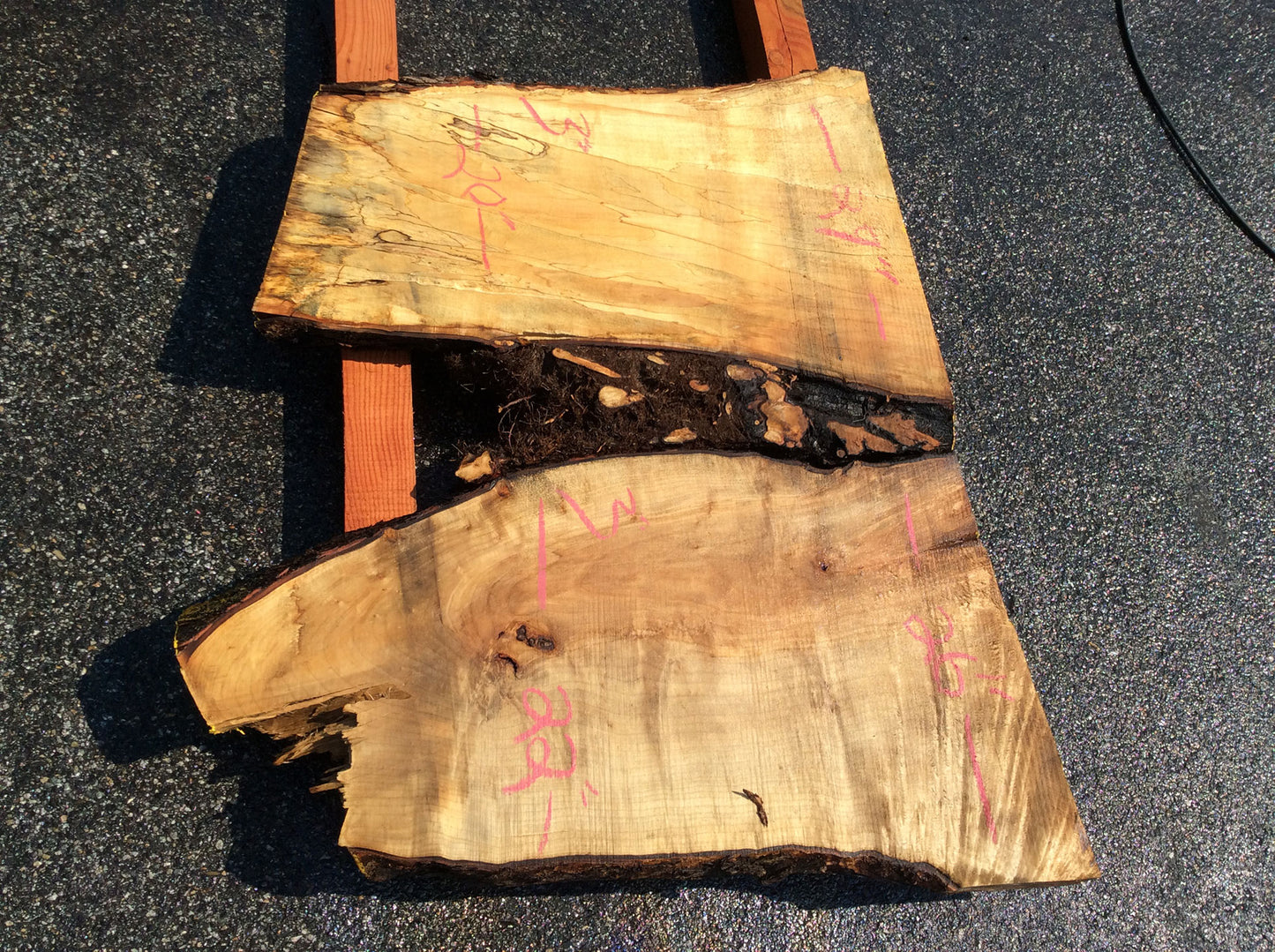 Silver Maple, Crotch Wood