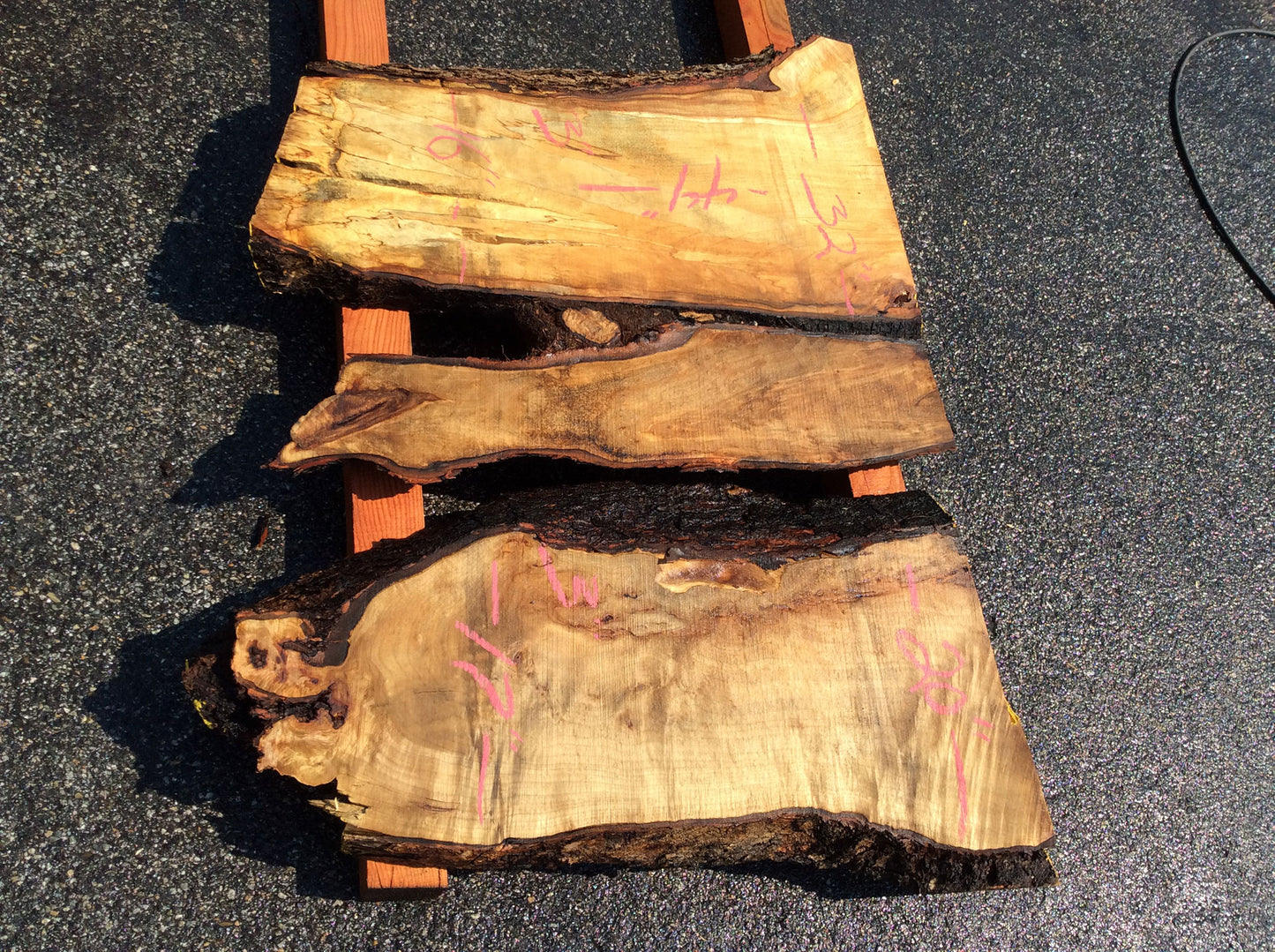 Silver Maple, Crotch Wood