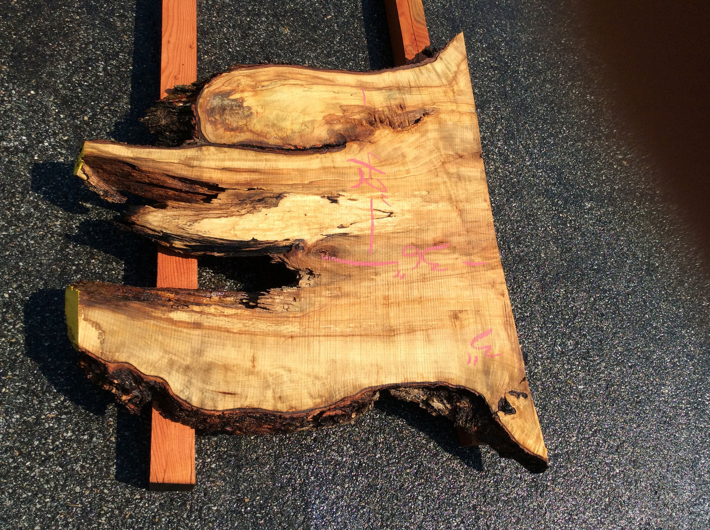 Silver Maple, Crotch Wood