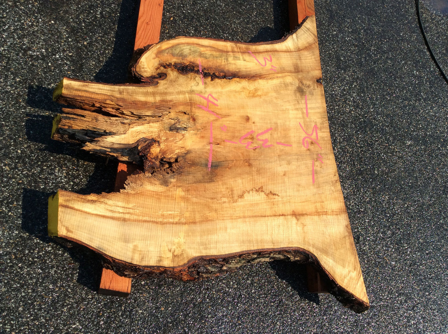 Silver Maple, Crotch Wood