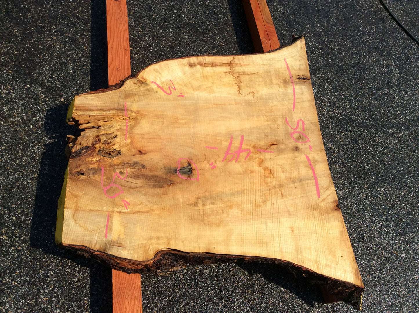 Silver Maple, Crotch Wood