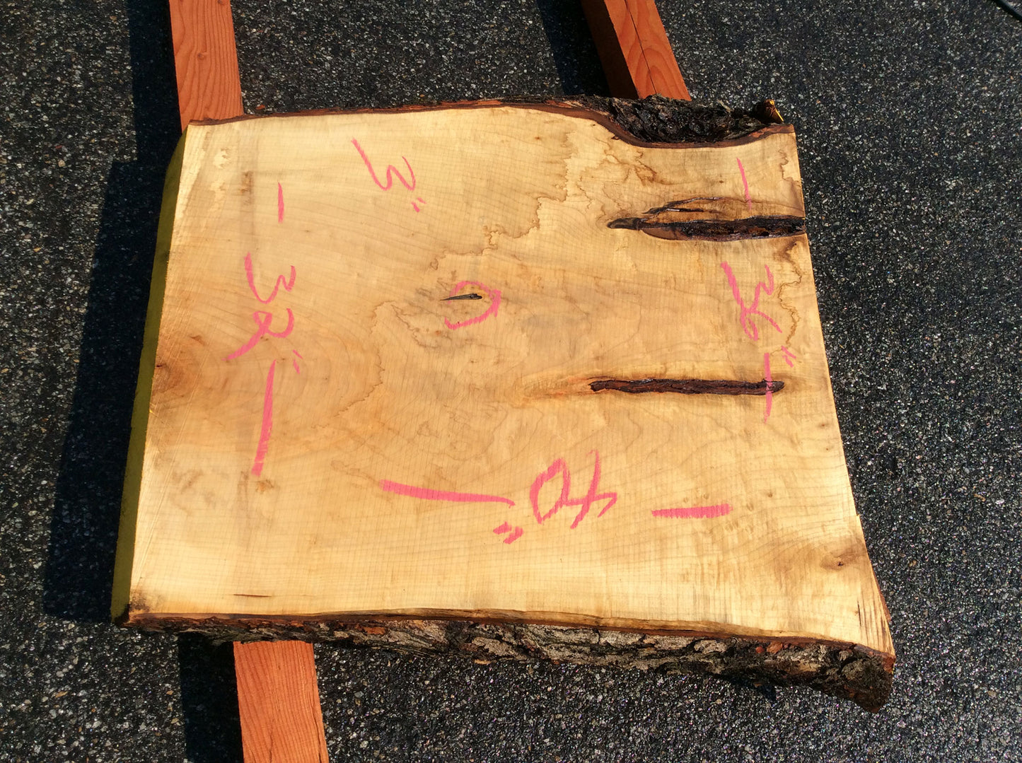 Silver Maple, Crotch Wood