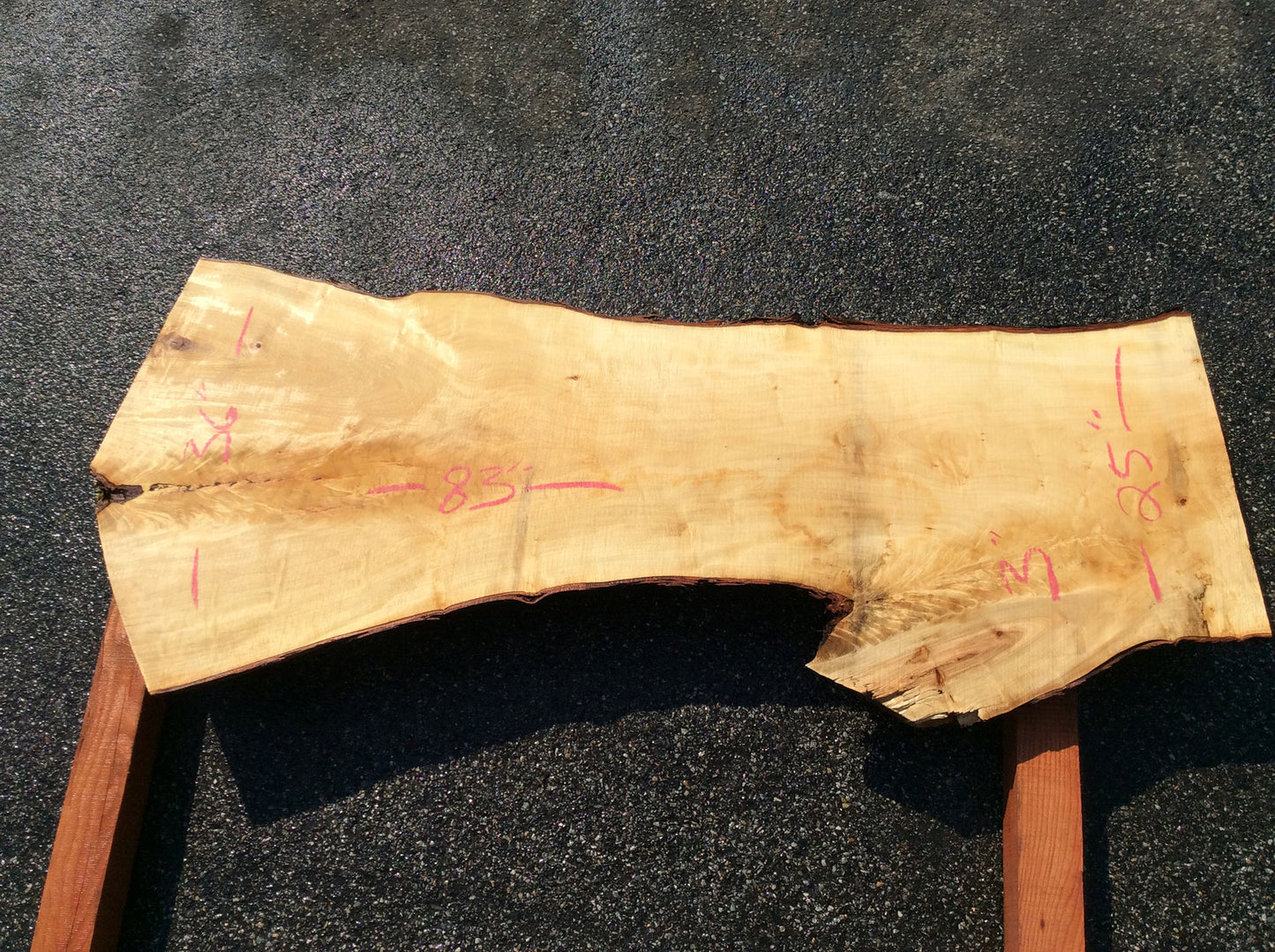 Silver Maple, Crotch Wood