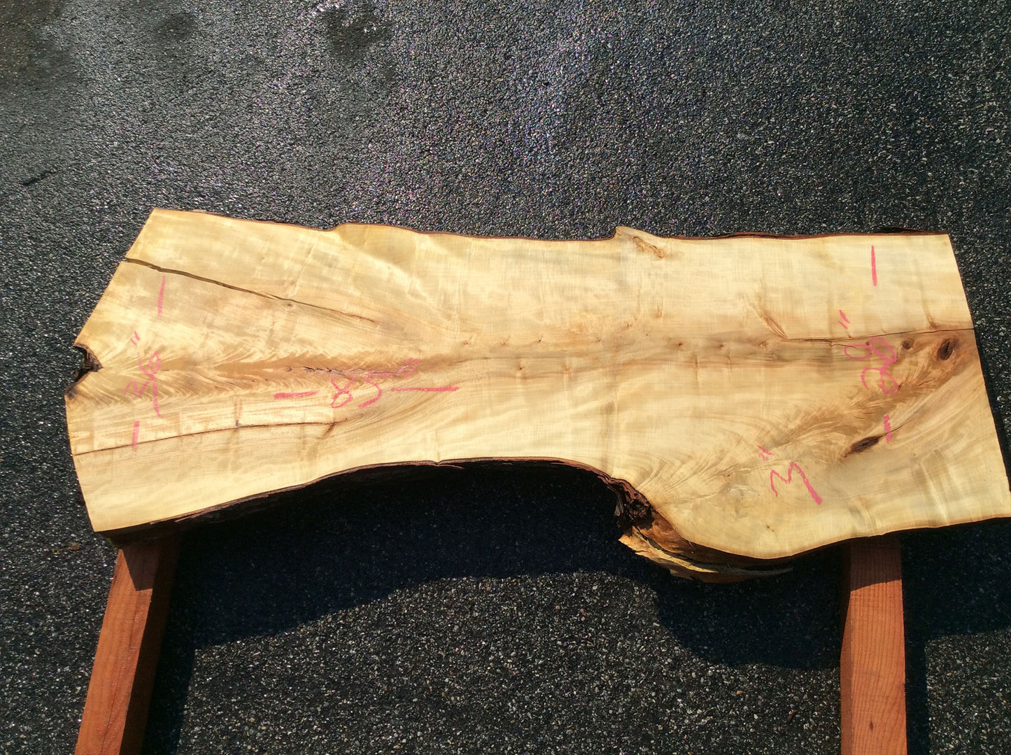 Silver Maple, Crotch Wood