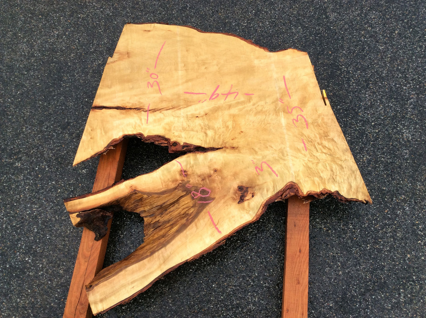 Silver Maple, Crotch Wood