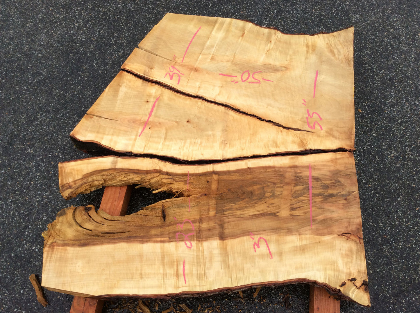 Silver Maple, Crotch Wood