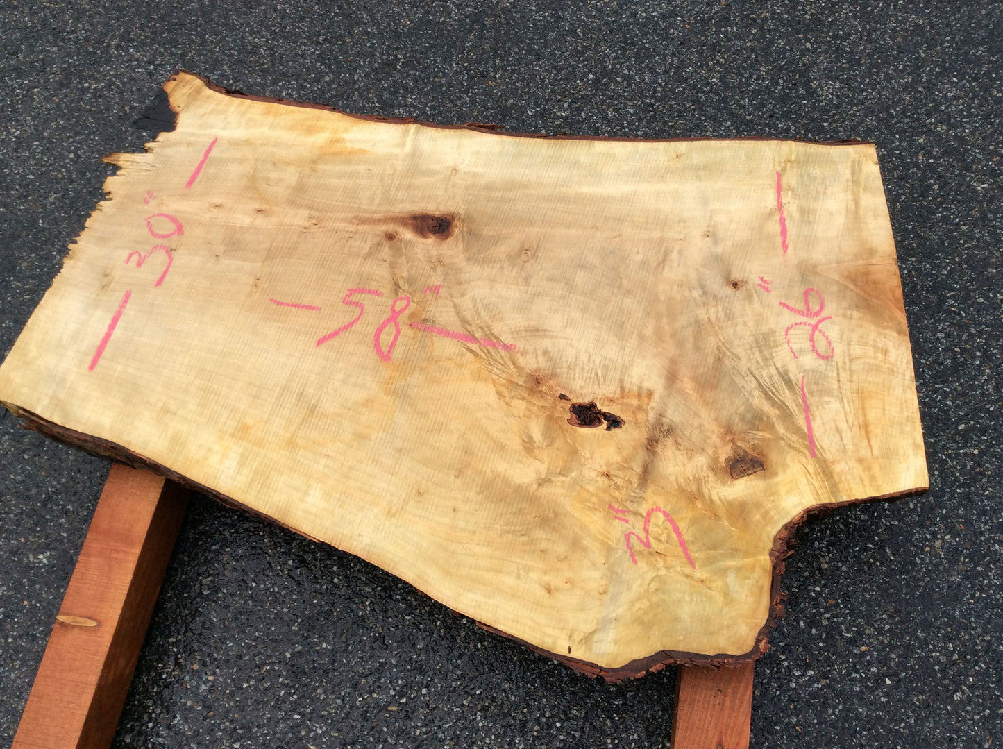 Silver Maple, Crotch Wood