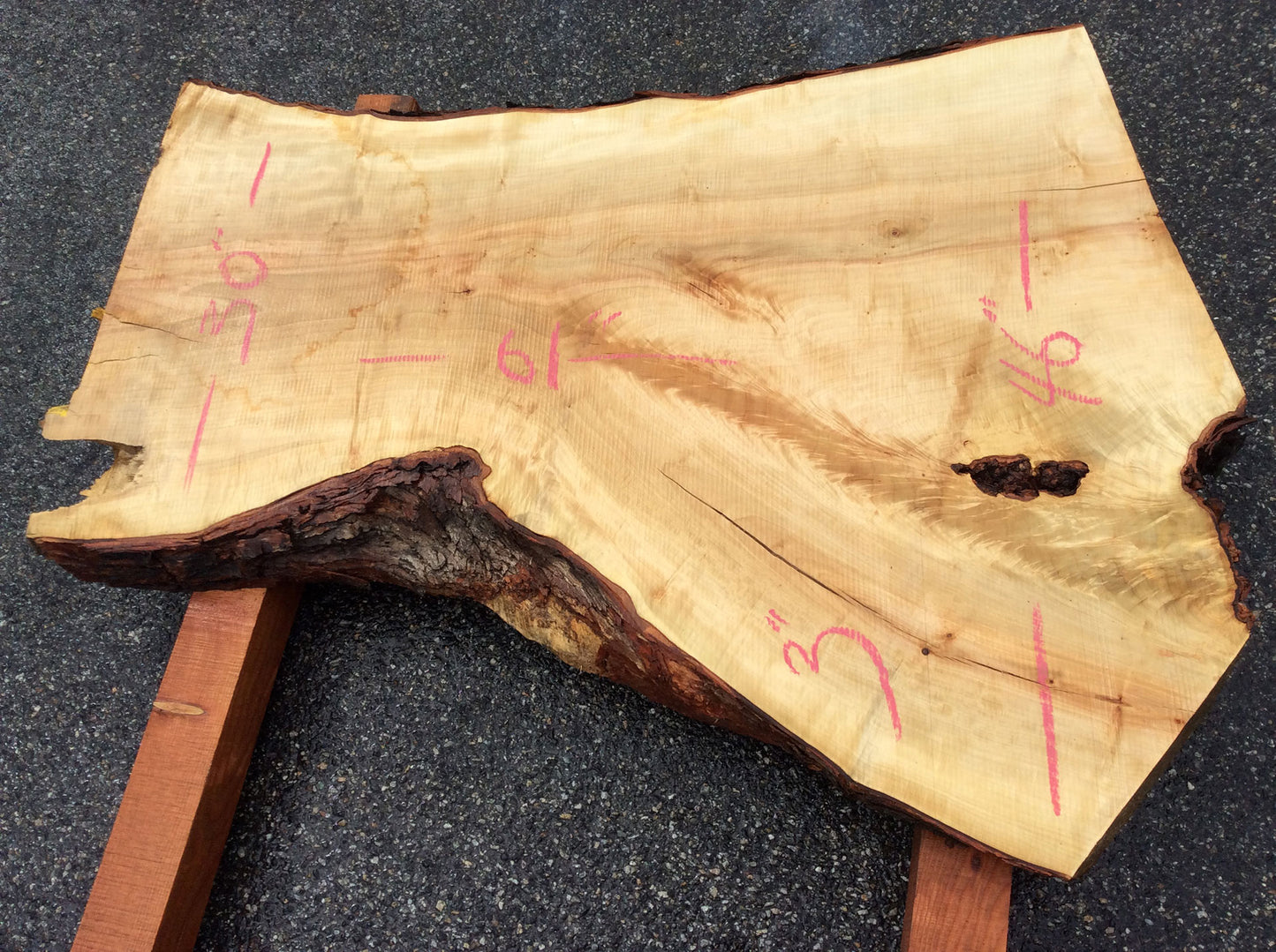 Silver Maple, Crotch Wood